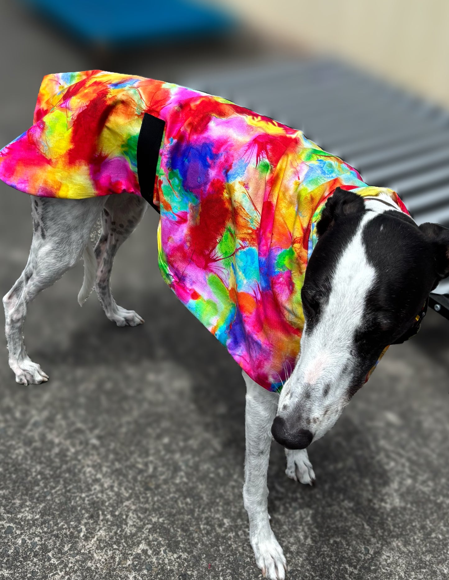 Summer featherweight greyhound slip-on coat