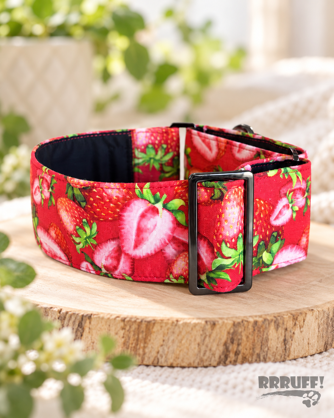 Berry best fresh strawberries martingale greyhound collar