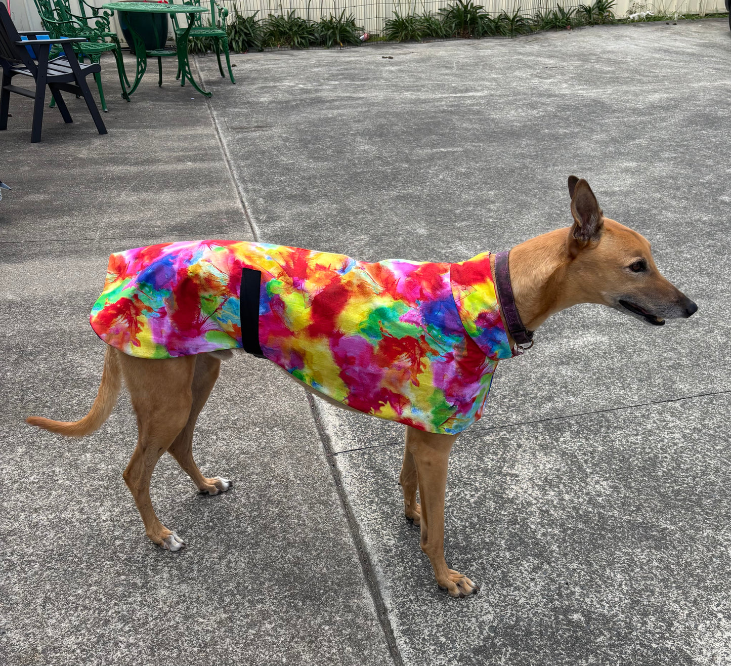 Summer featherweight greyhound slip-on coat