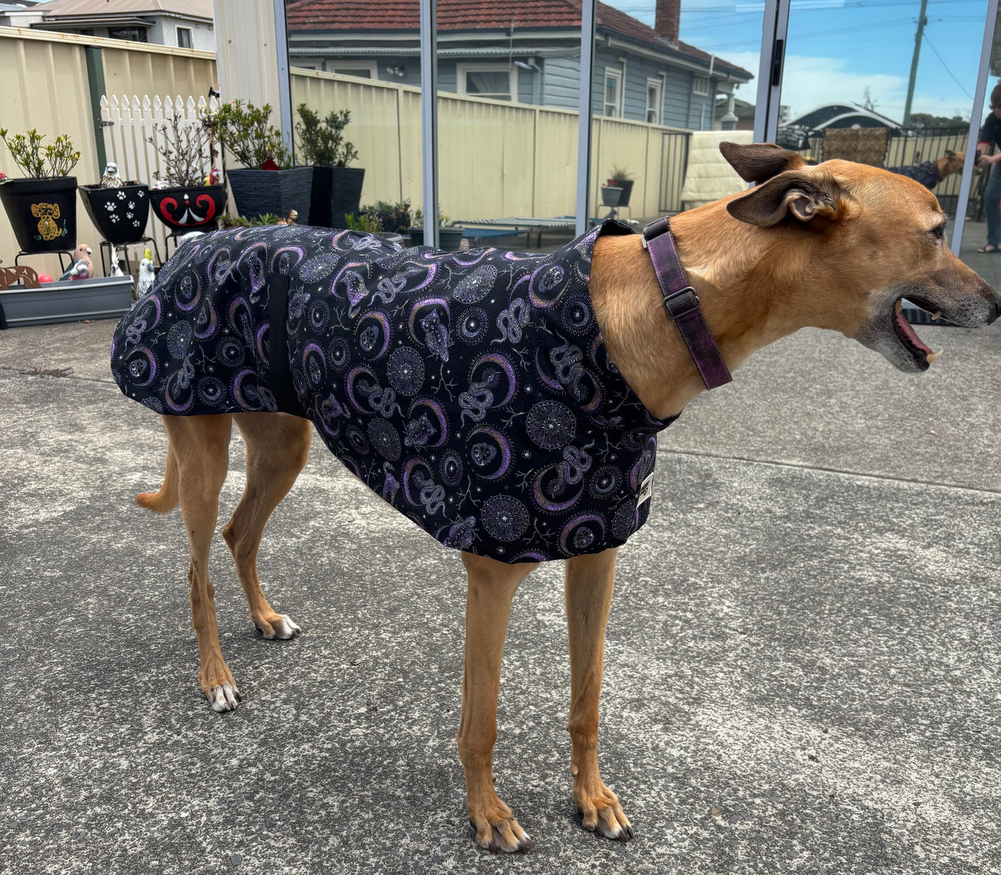 Summer featherweight greyhound slip-on coat