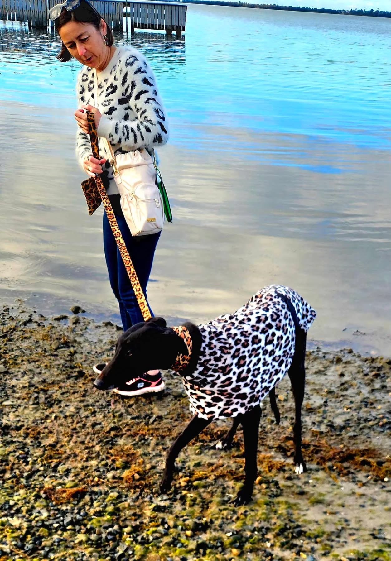 Wild luxe leopard print mid weight fleece sports greyhound style