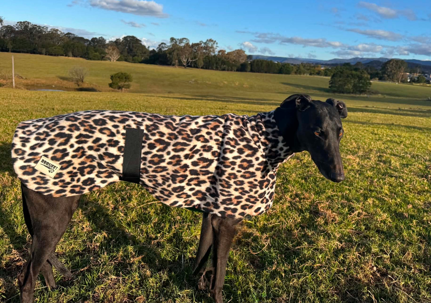Wild luxe leopard print mid weight fleece sports greyhound style