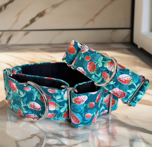 Strawberry fields cotton greyhound Martingale collar
