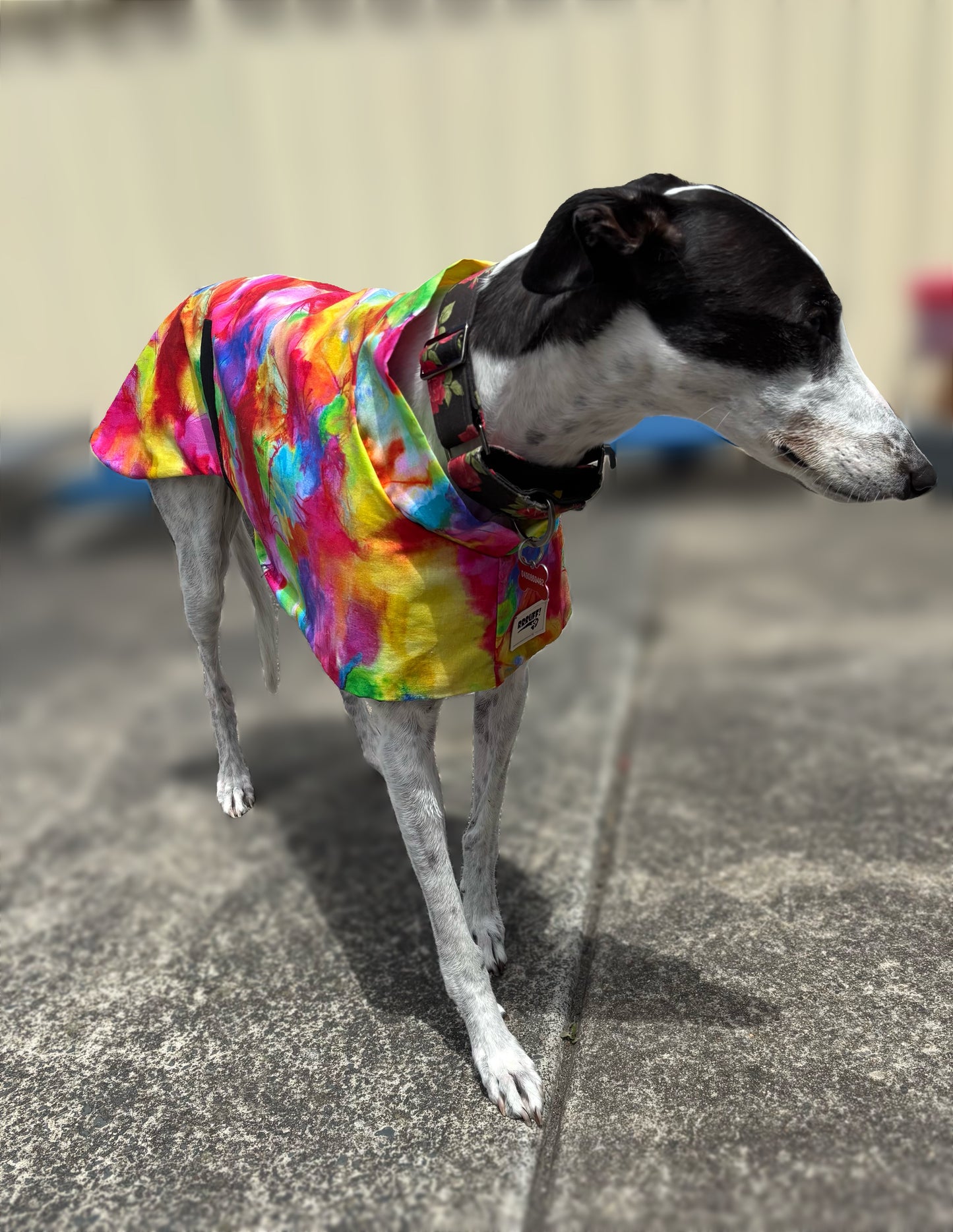 Summer featherweight greyhound slip-on coat