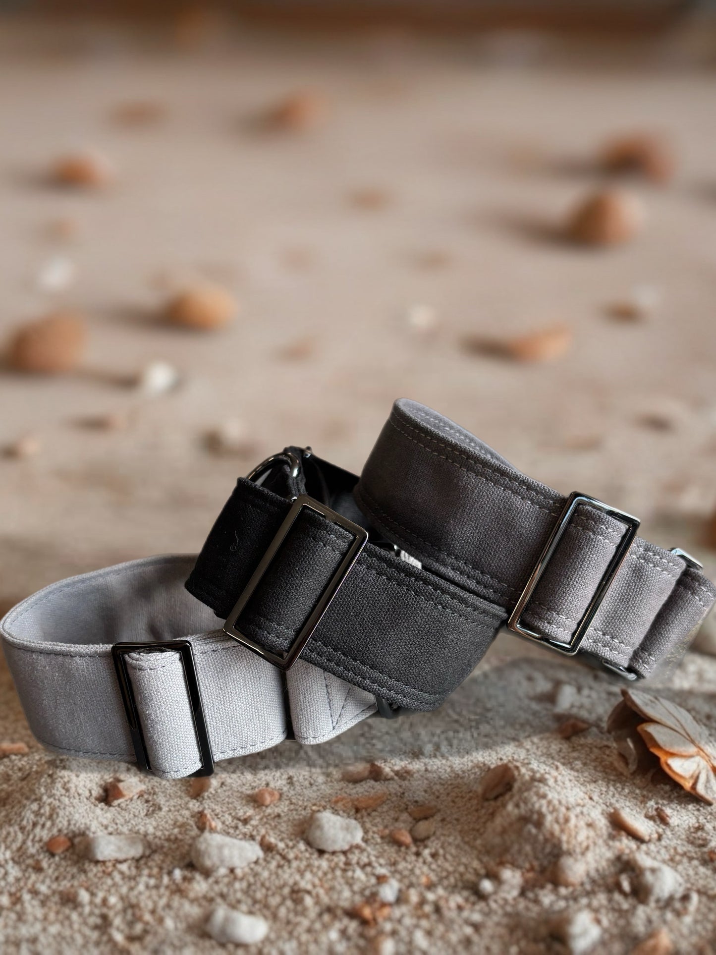 RRRUFF! Terrain Canvas martingale collection