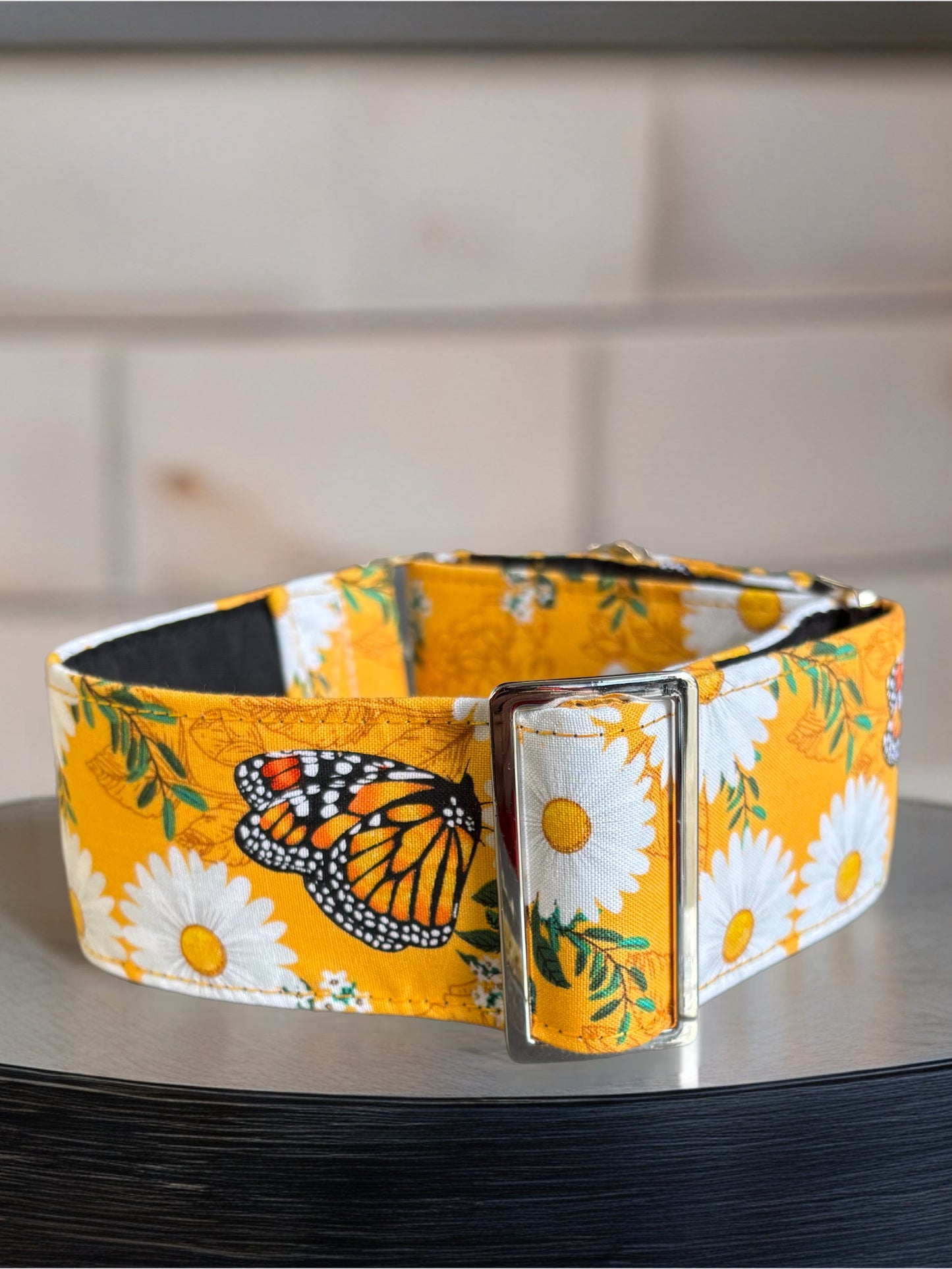Summer gold butterflies cotton covered greyhound Martingale collar