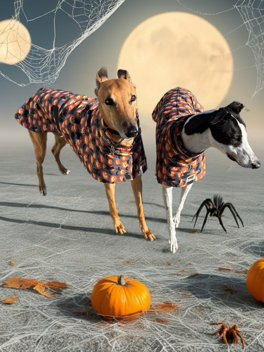 Pumpkins & black cats Halloween greyhound cotton sports