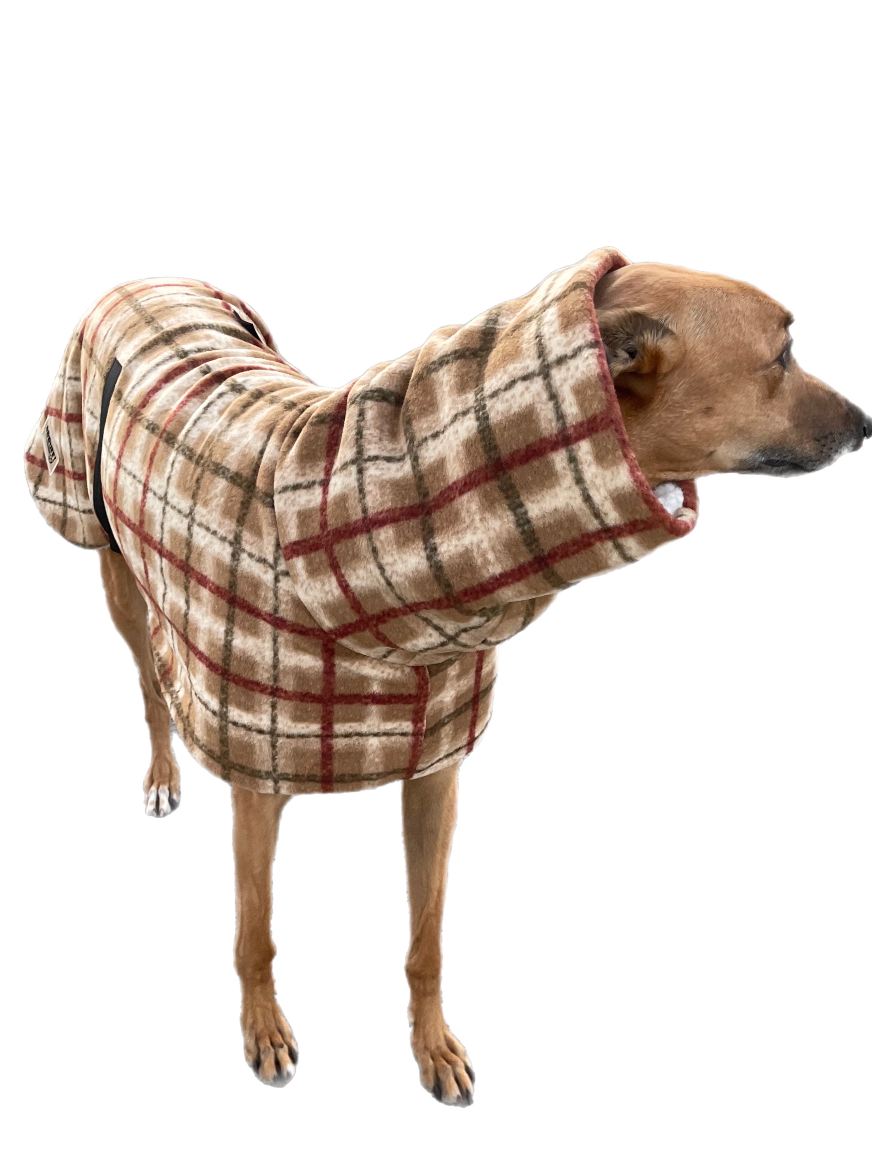 Tan Lumberjack Greyhound coat in deluxe style rug flanno check polar f ...