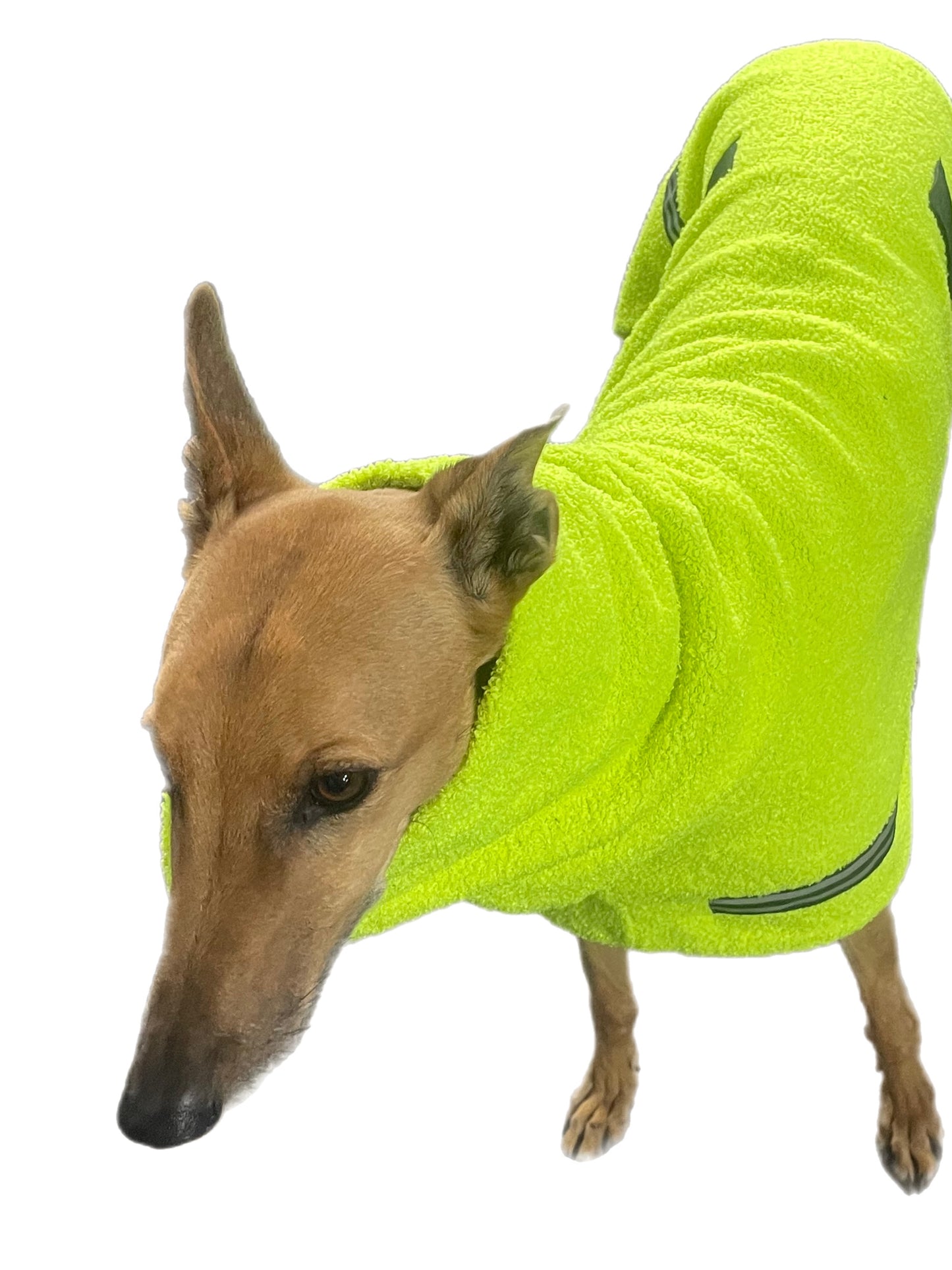 Flouro with reflective strips hi vis Teddy fleece deluxe style greyhound coat with snuggly wide neck roll