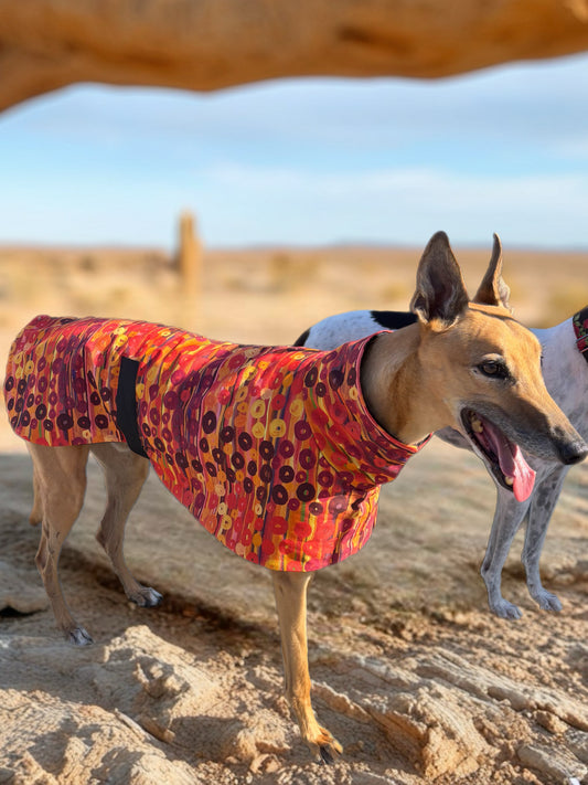 Sunset rhythm luxe indigenous design greyhound sports coat mid weight cotton & fleece Autumn wear