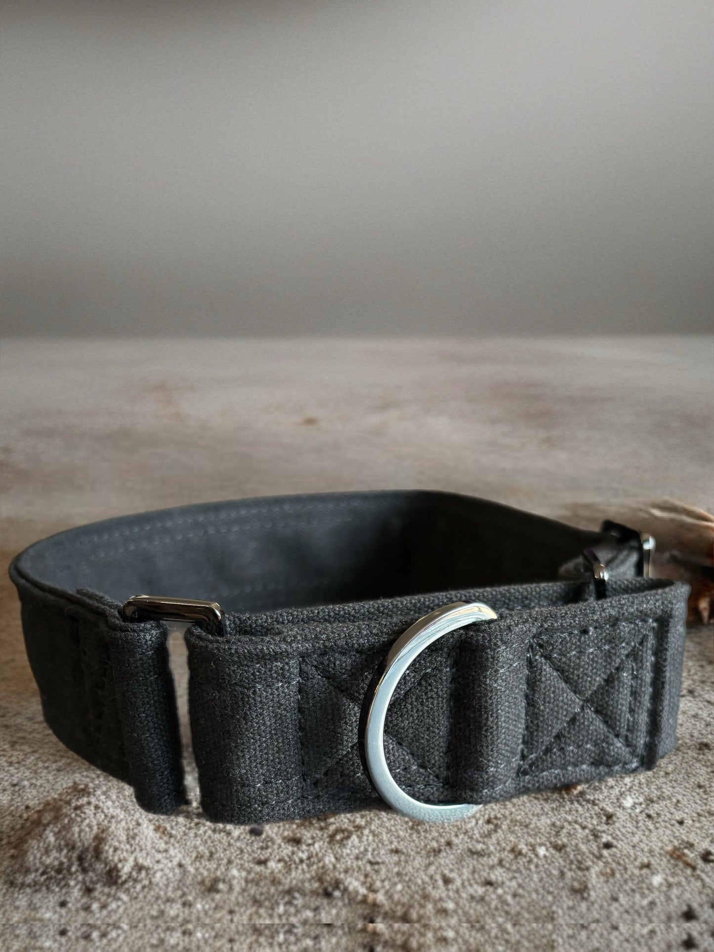RRRUFF! Terrain Canvas martingale collection