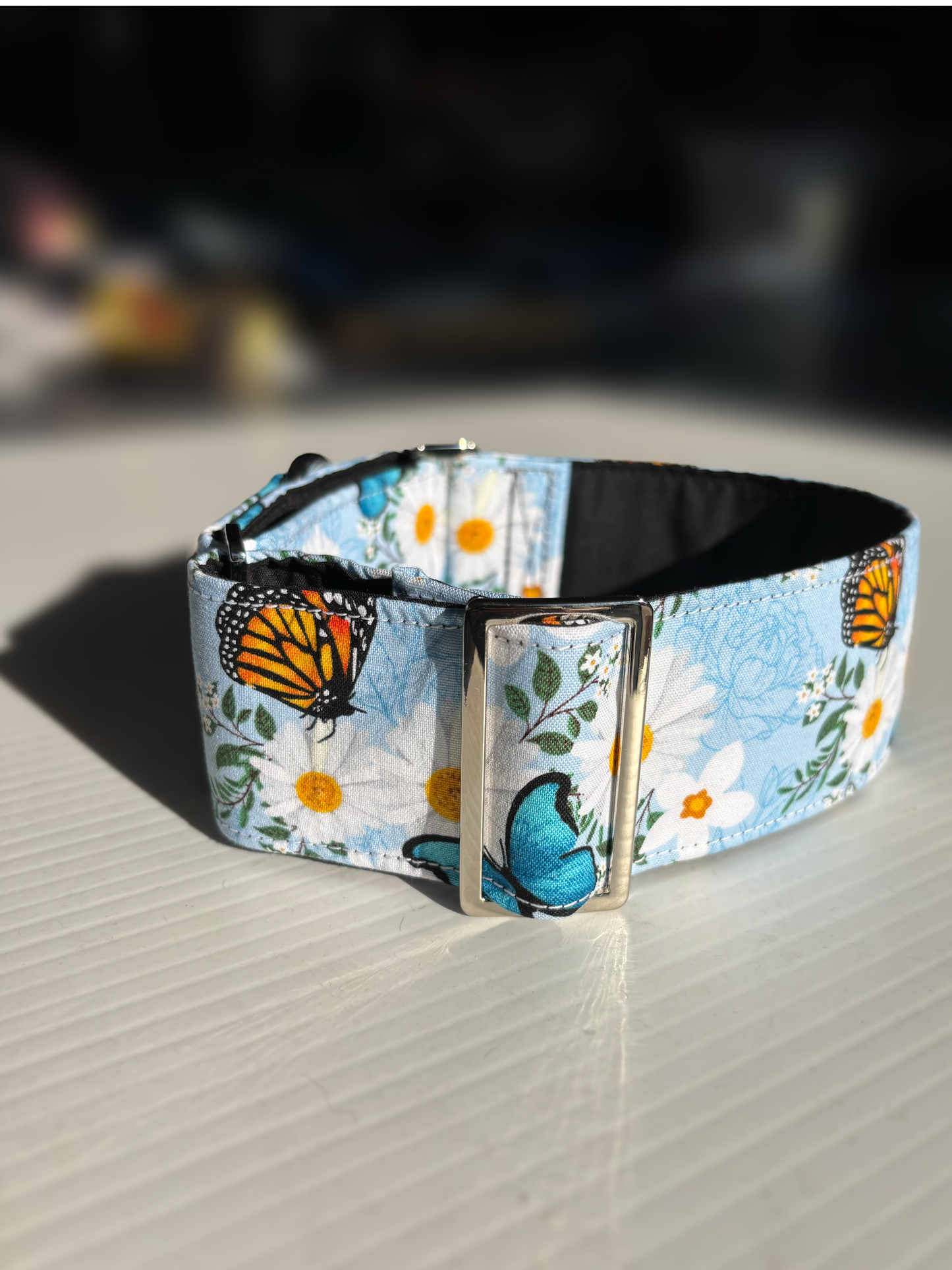 Summer blue butterflies cotton covered greyhound Martingale collar