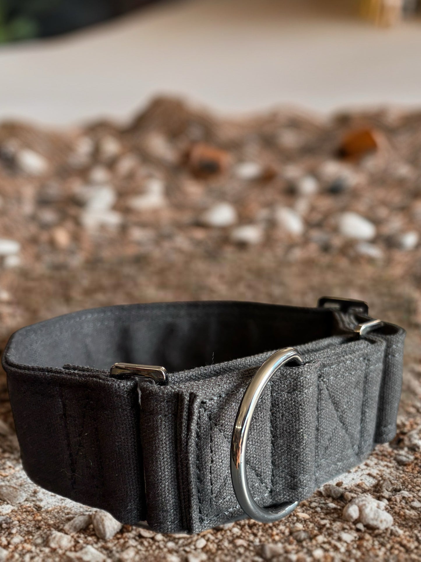 RRRUFF! Terrain Canvas martingale collection