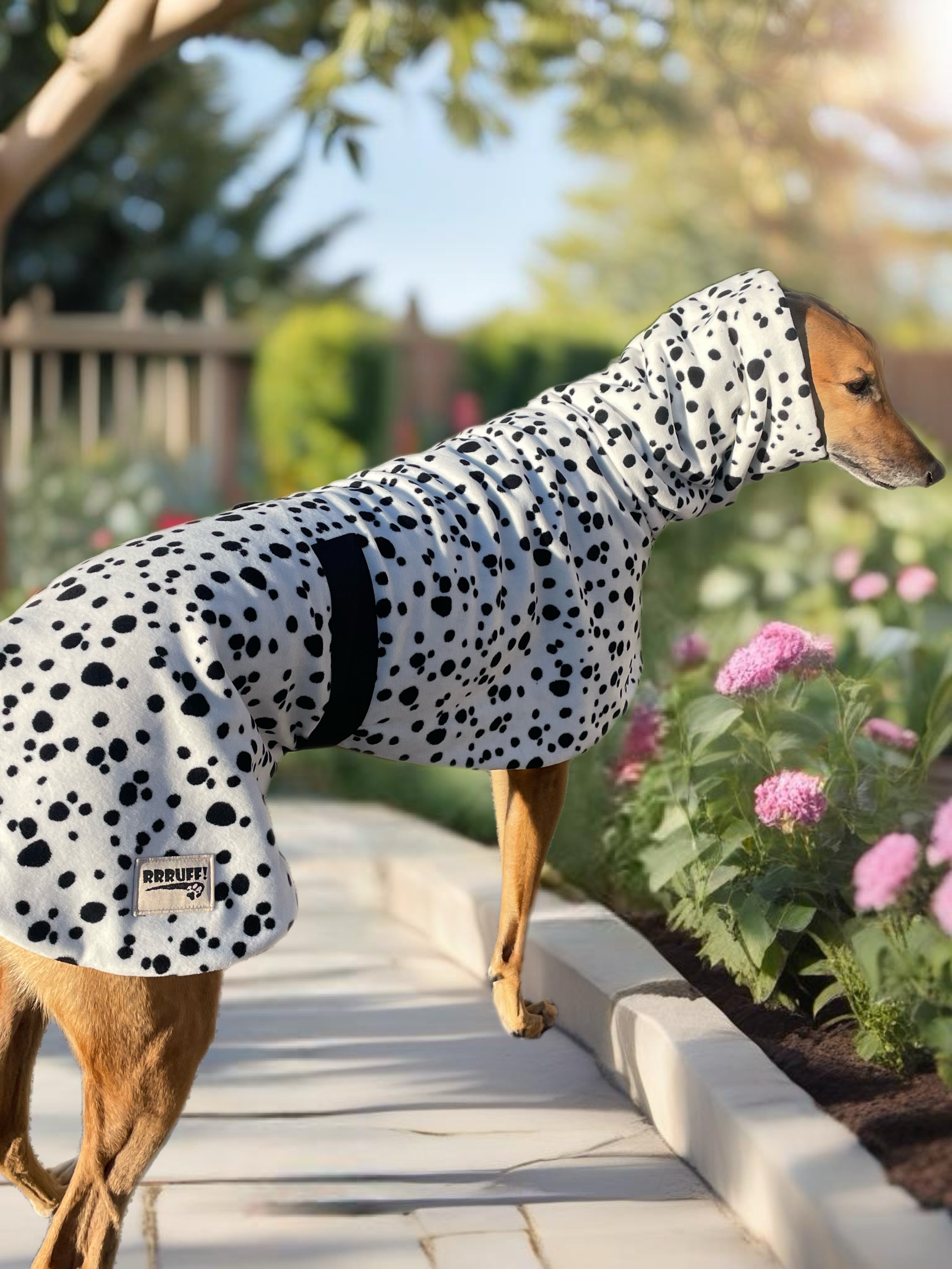 Going dotty luxury Greyhound Deluxe coat rug extra thick snuggly polar ...