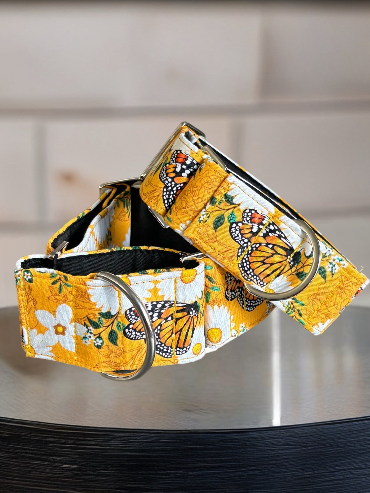 Summer gold butterflies cotton covered greyhound Martingale collar