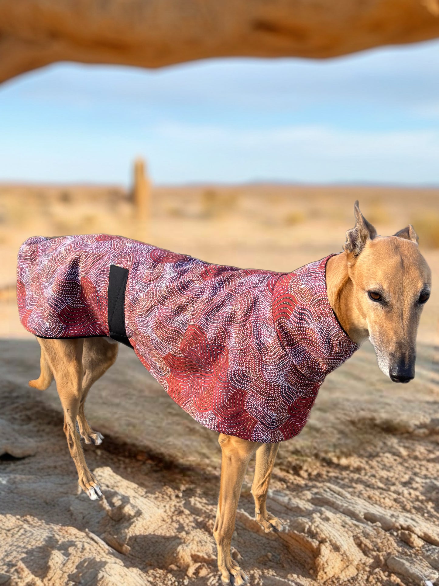 Desert dreaming luxe indigenous design greyhound sports coat mid weight cotton & fleece Autumn wear