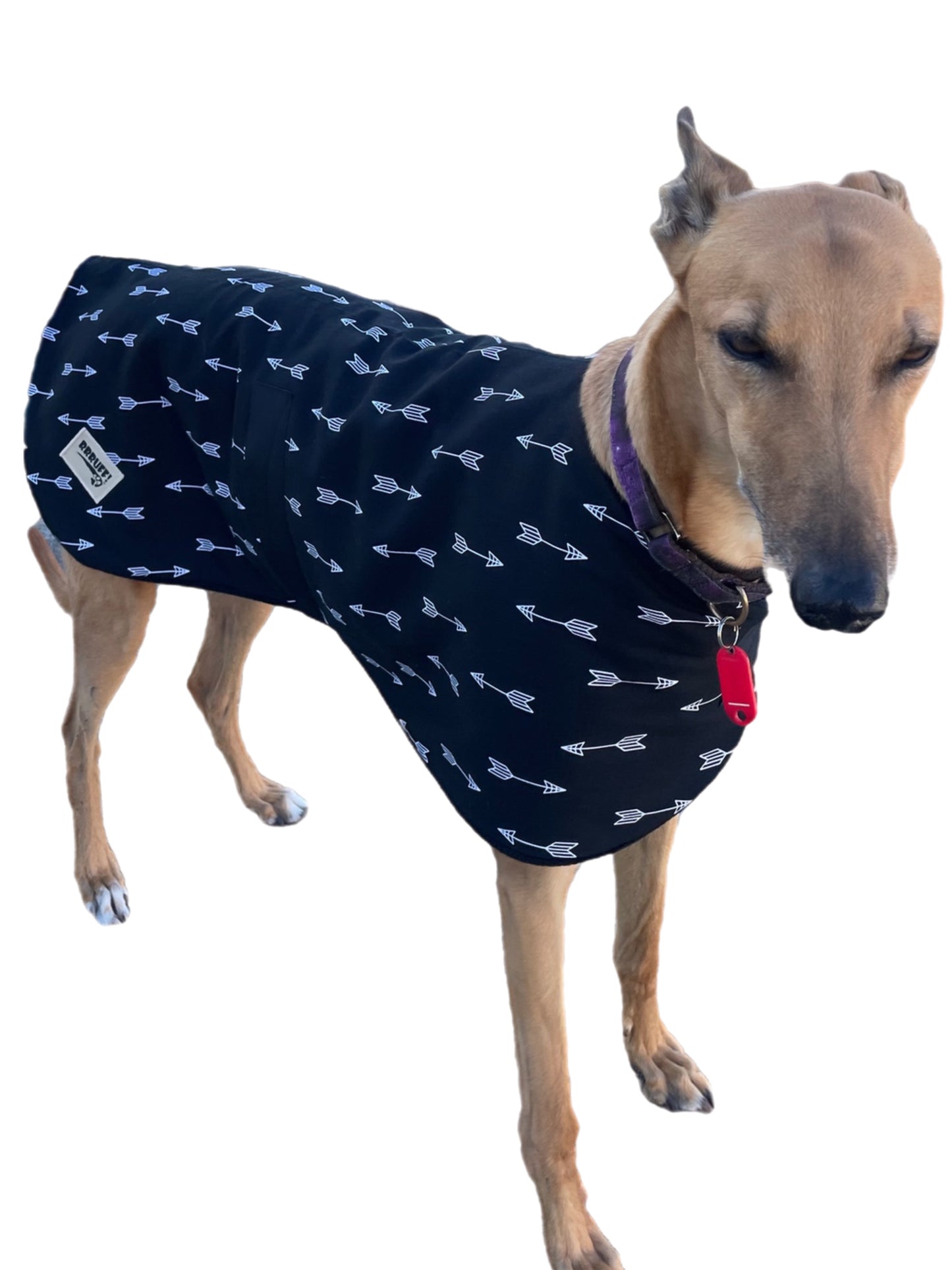 Spring classic style Greyhound coat design in a soft black and white cotton & lush fleece washable