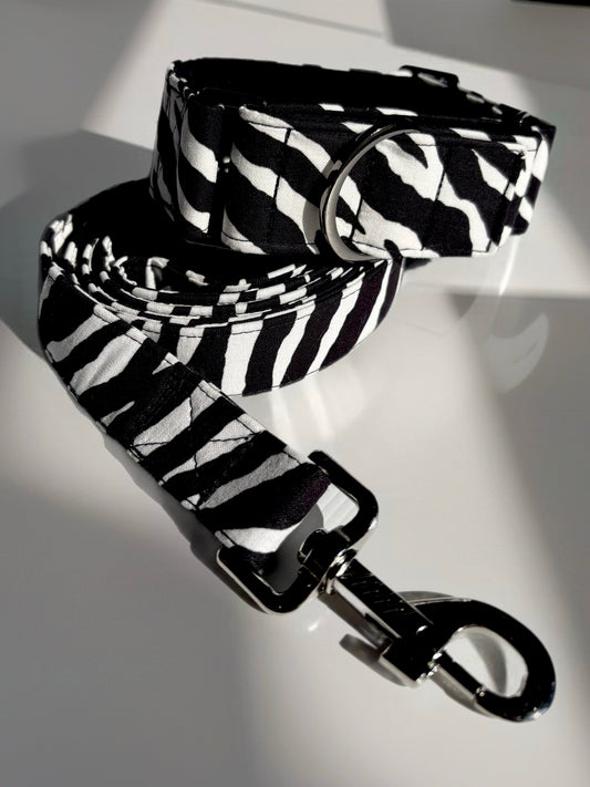 Stripe up the fun in Zebra print Martingale collar greyhound collar cotton super soft fabric
