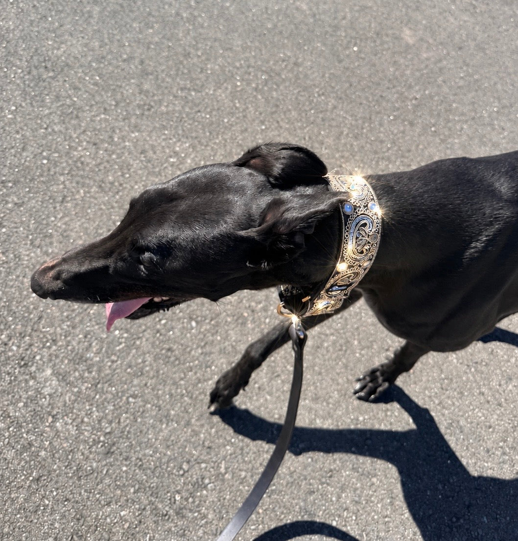 Gilded Emperor Martingale Collar