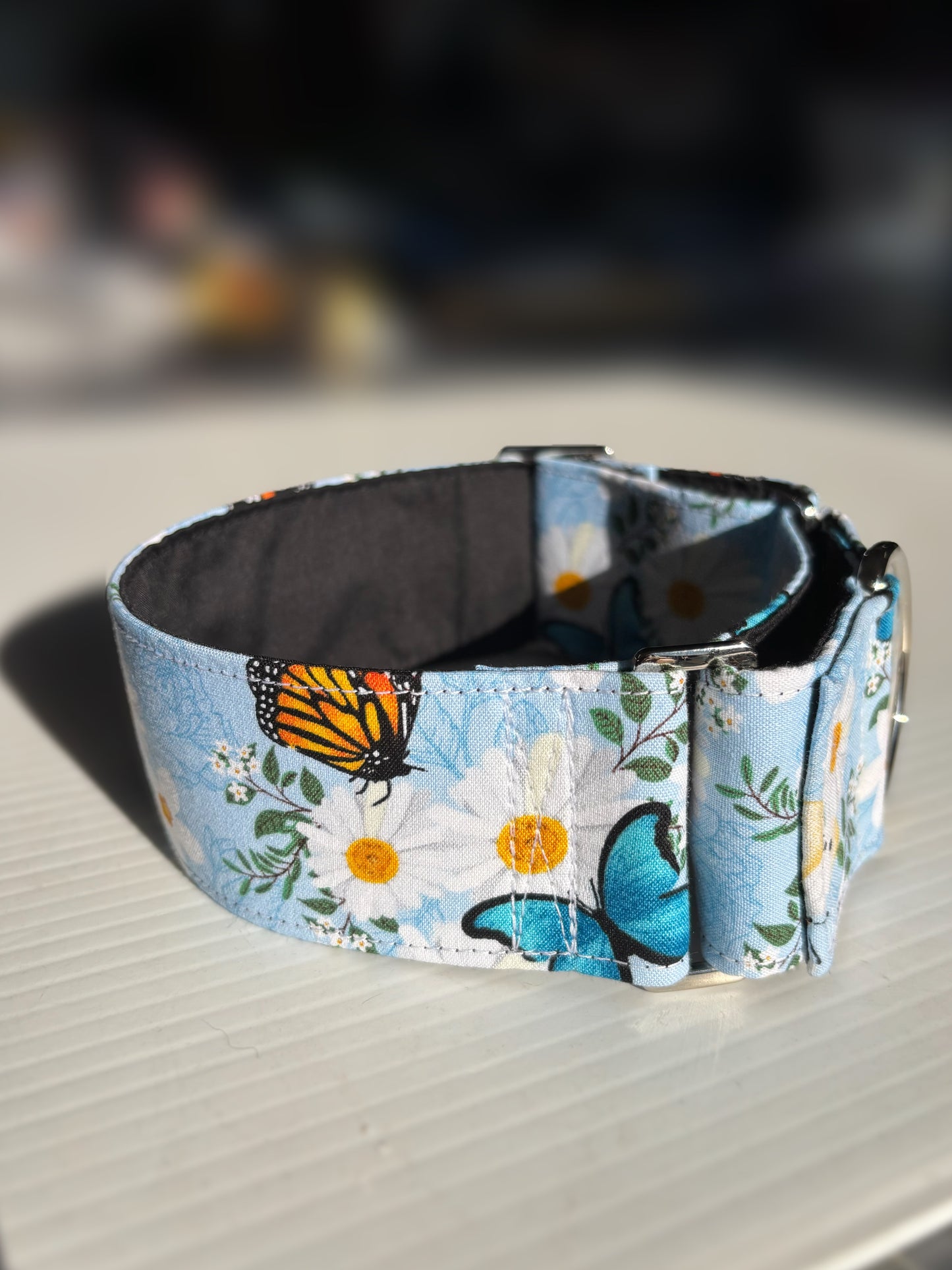 Summer blue butterflies cotton covered greyhound Martingale collar
