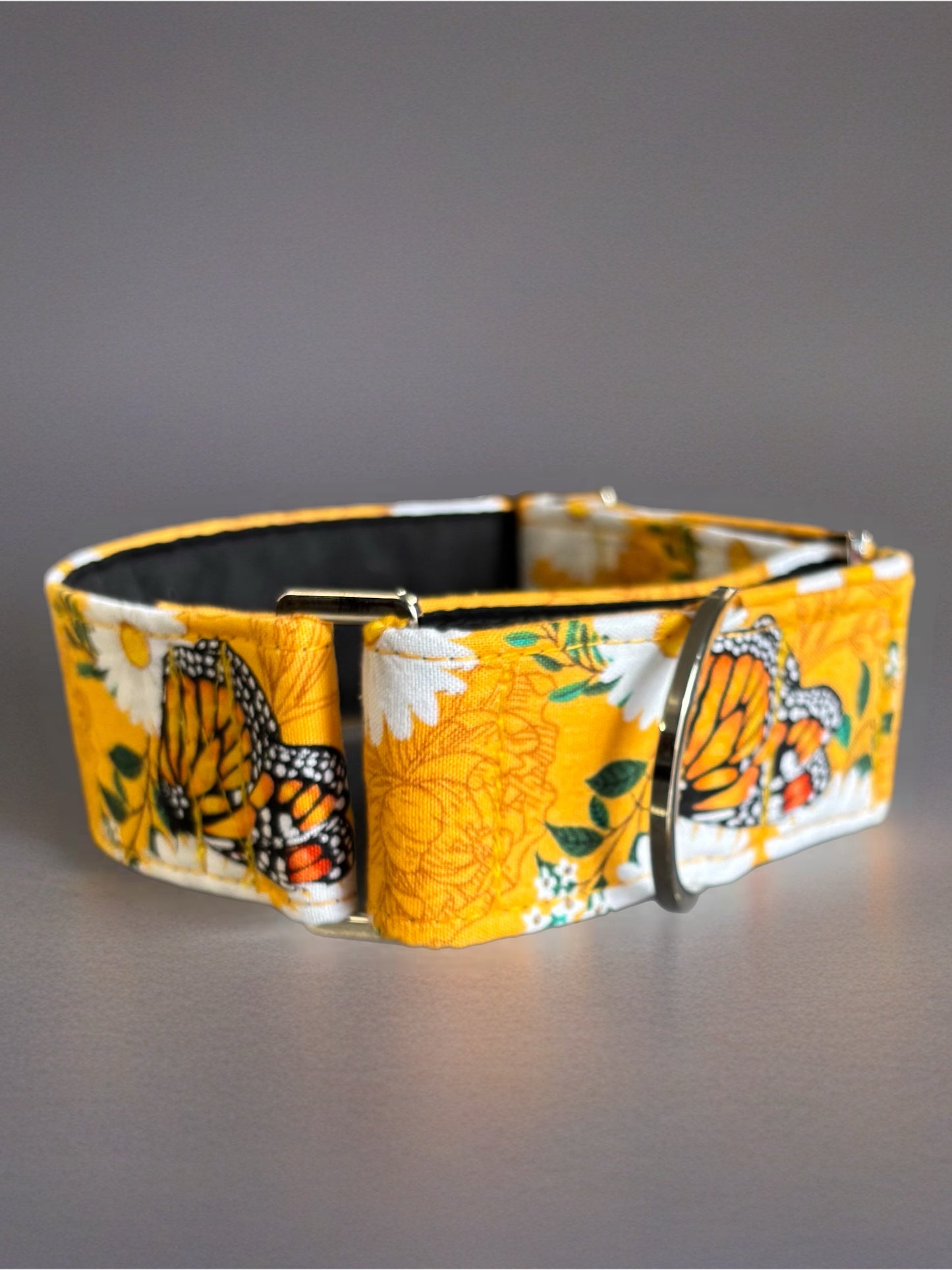 Summer gold butterflies cotton covered greyhound Martingale collar