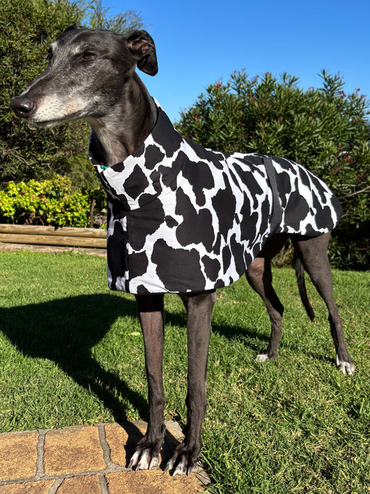 Shop soiled  cow print cotton & fleece greyhound sports standard size