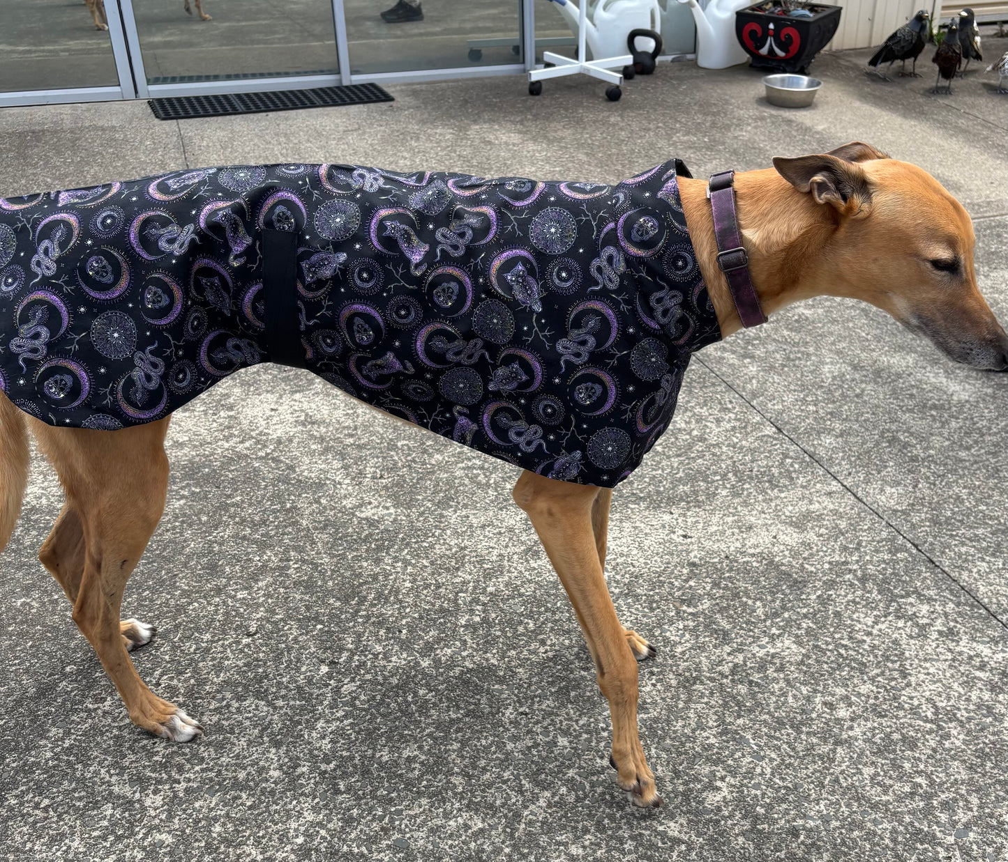 Summer featherweight greyhound slip-on coat