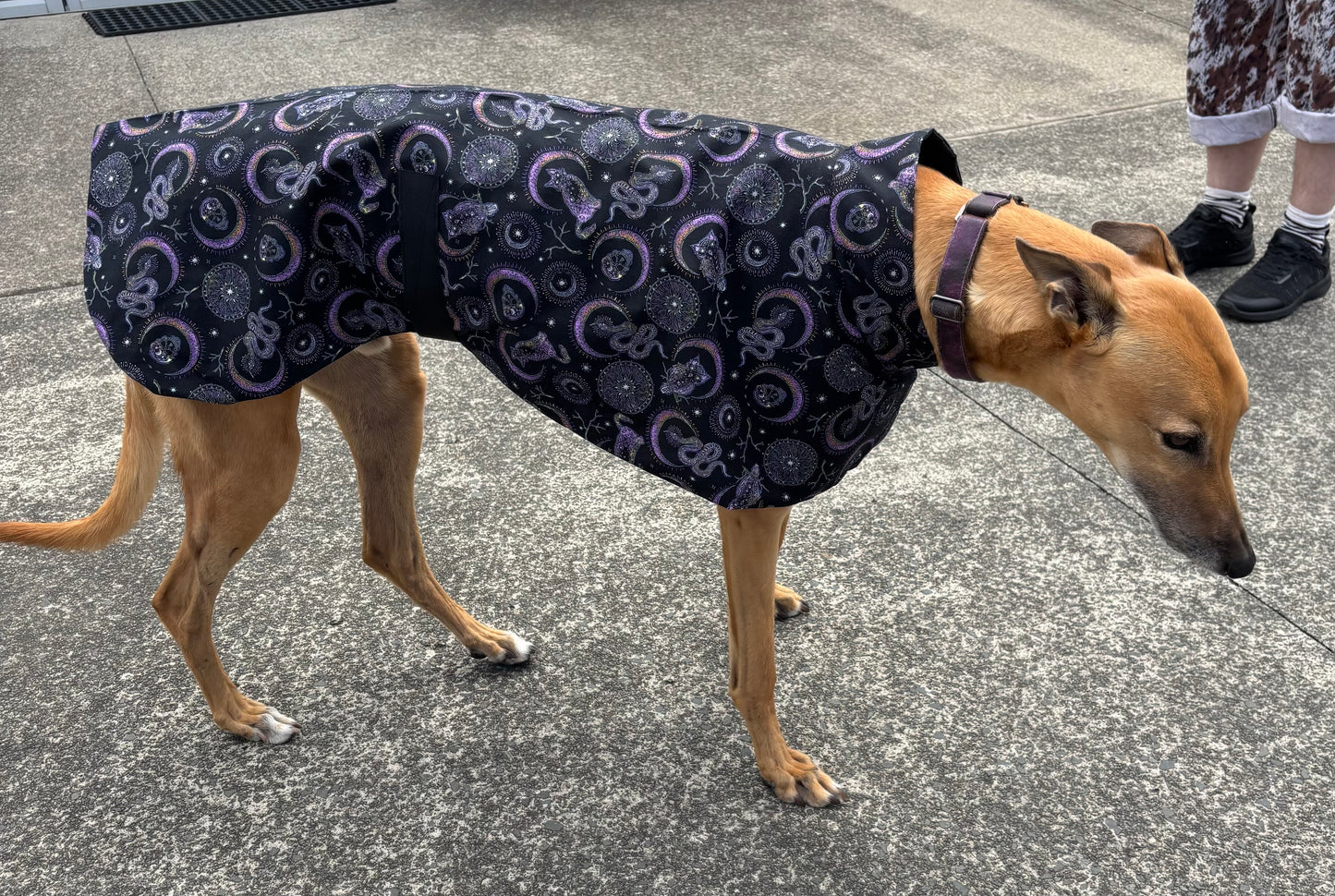 Summer featherweight greyhound slip-on coat