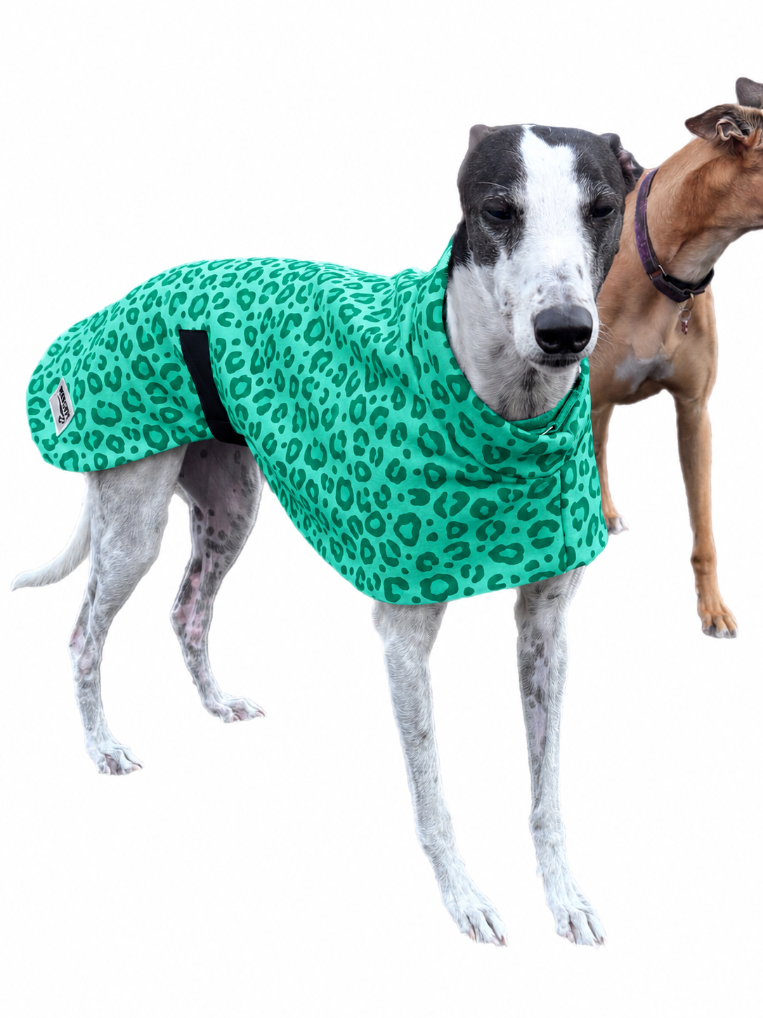 Mint leopard soft fleecy greyhound sport coat
