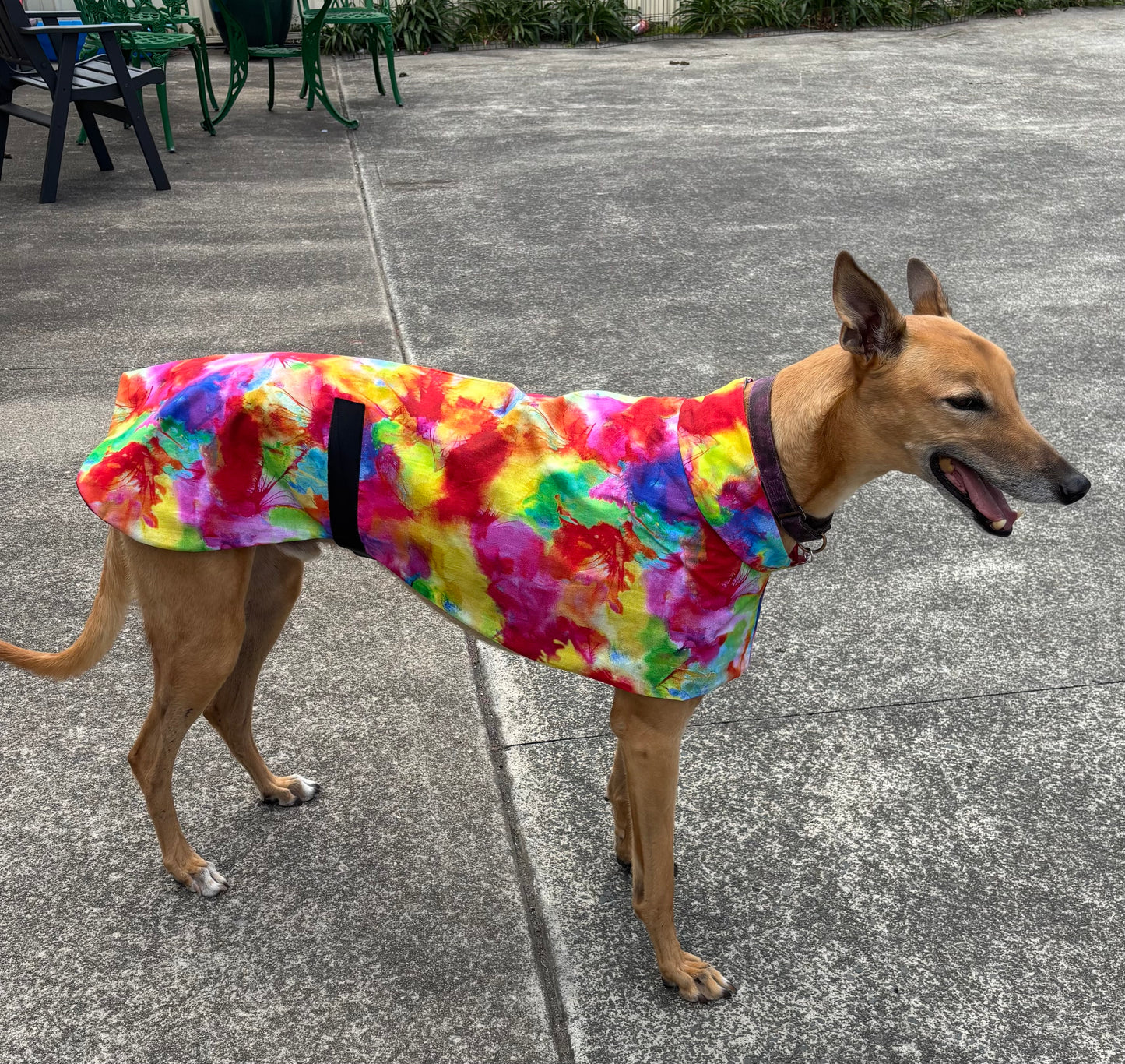 Summer featherweight greyhound slip-on coat