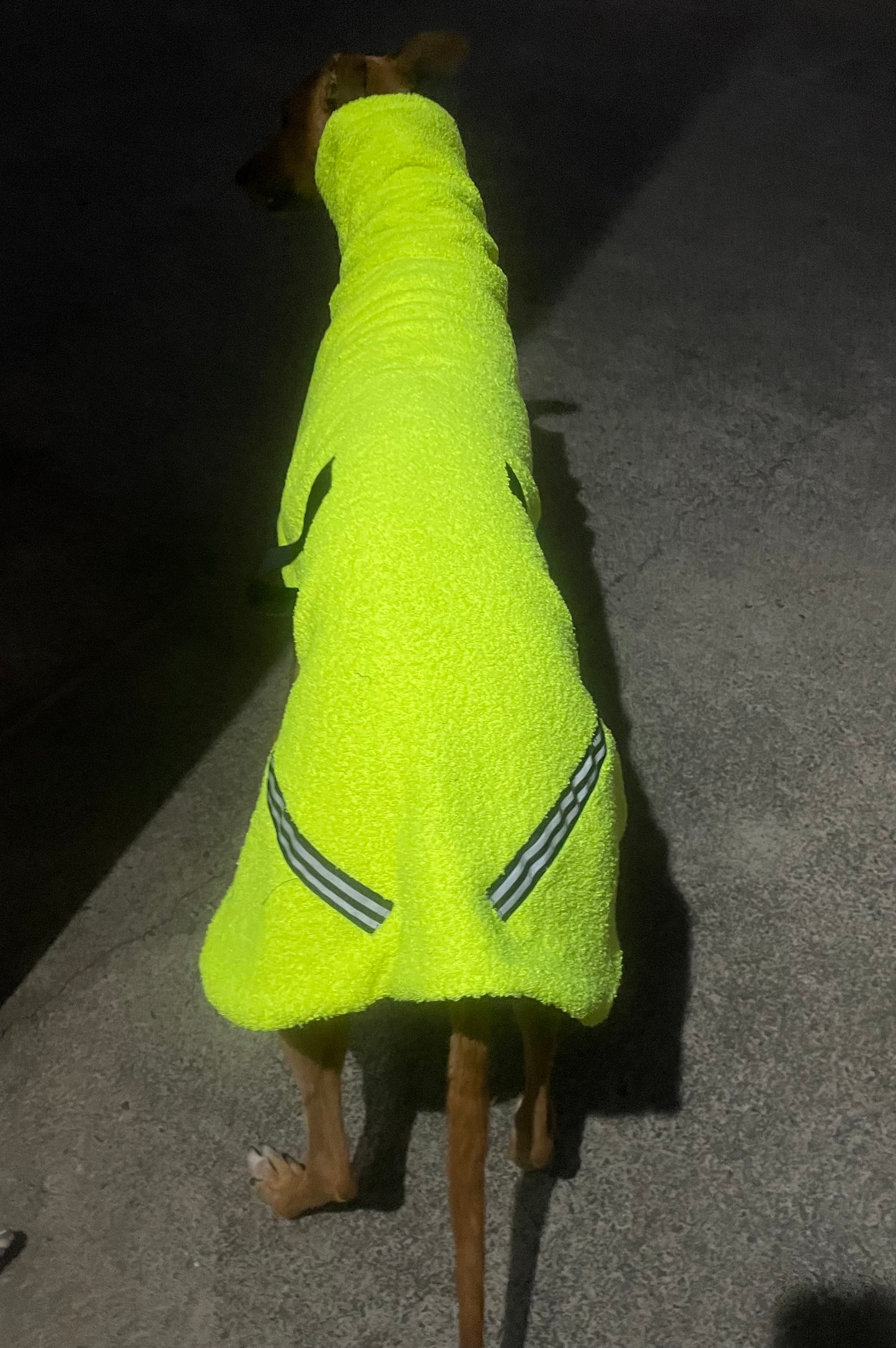 Flouro with reflective strips hi vis Teddy fleece deluxe style greyhound coat with snuggly wide neck roll