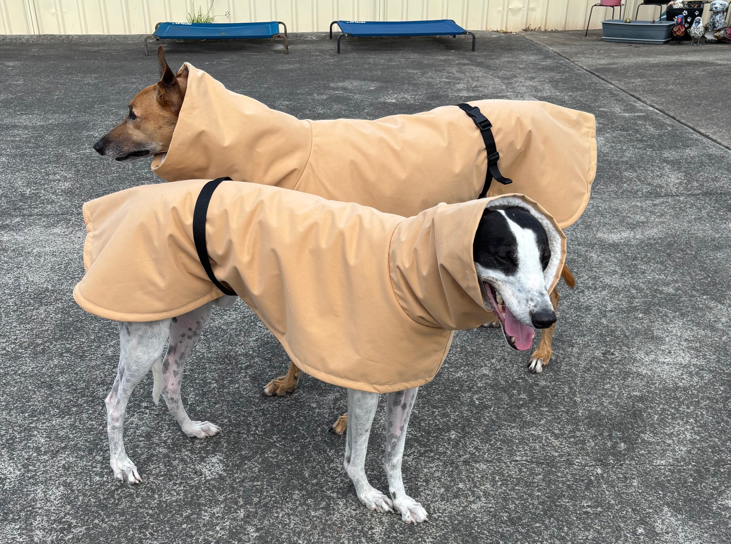 Driden Lux Sherpa Greyhound & whippet deluxe raincoats