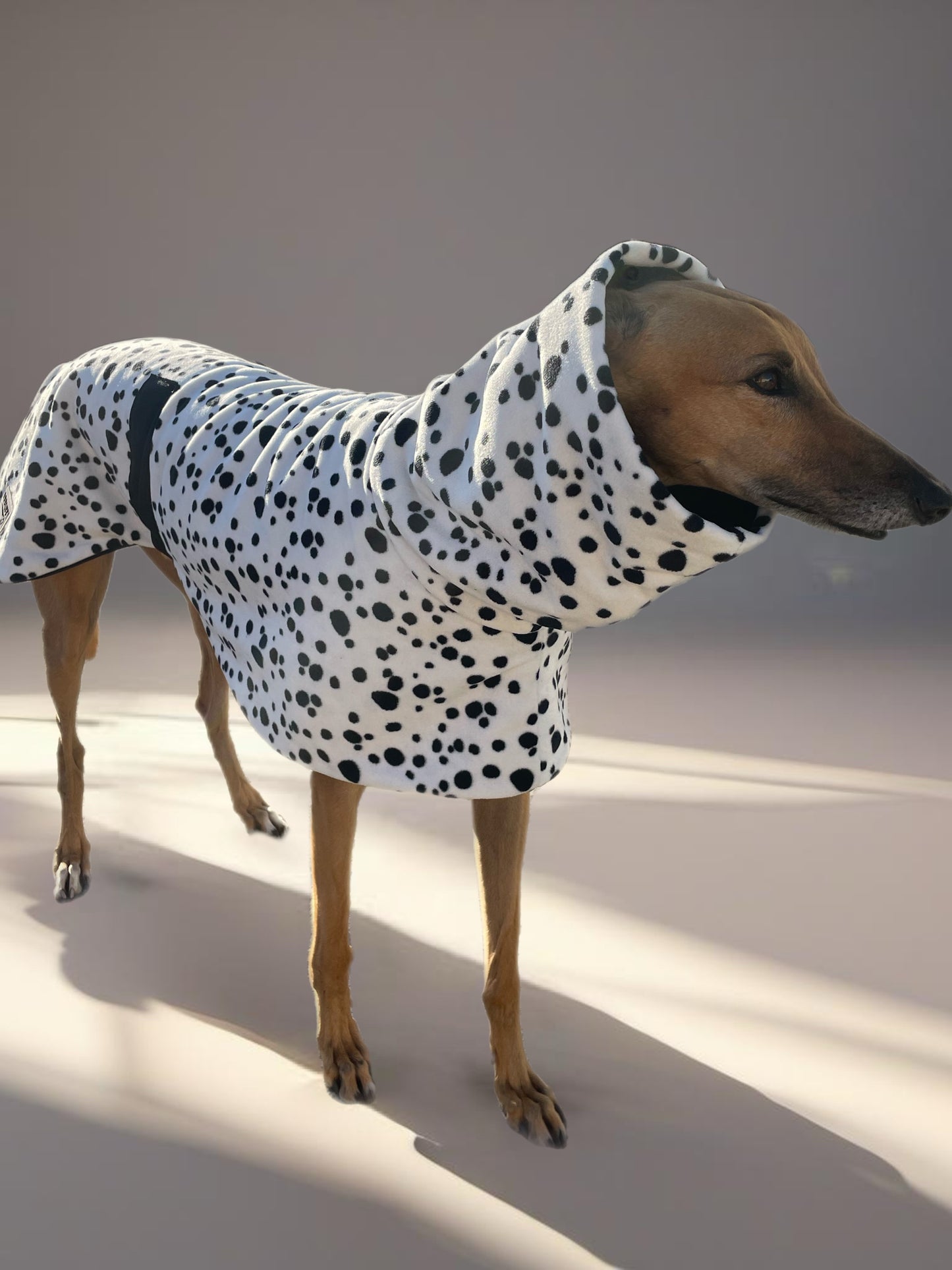 Going dotty luxury Greyhound Deluxe coat rug extra thick snuggly polar fleece washable