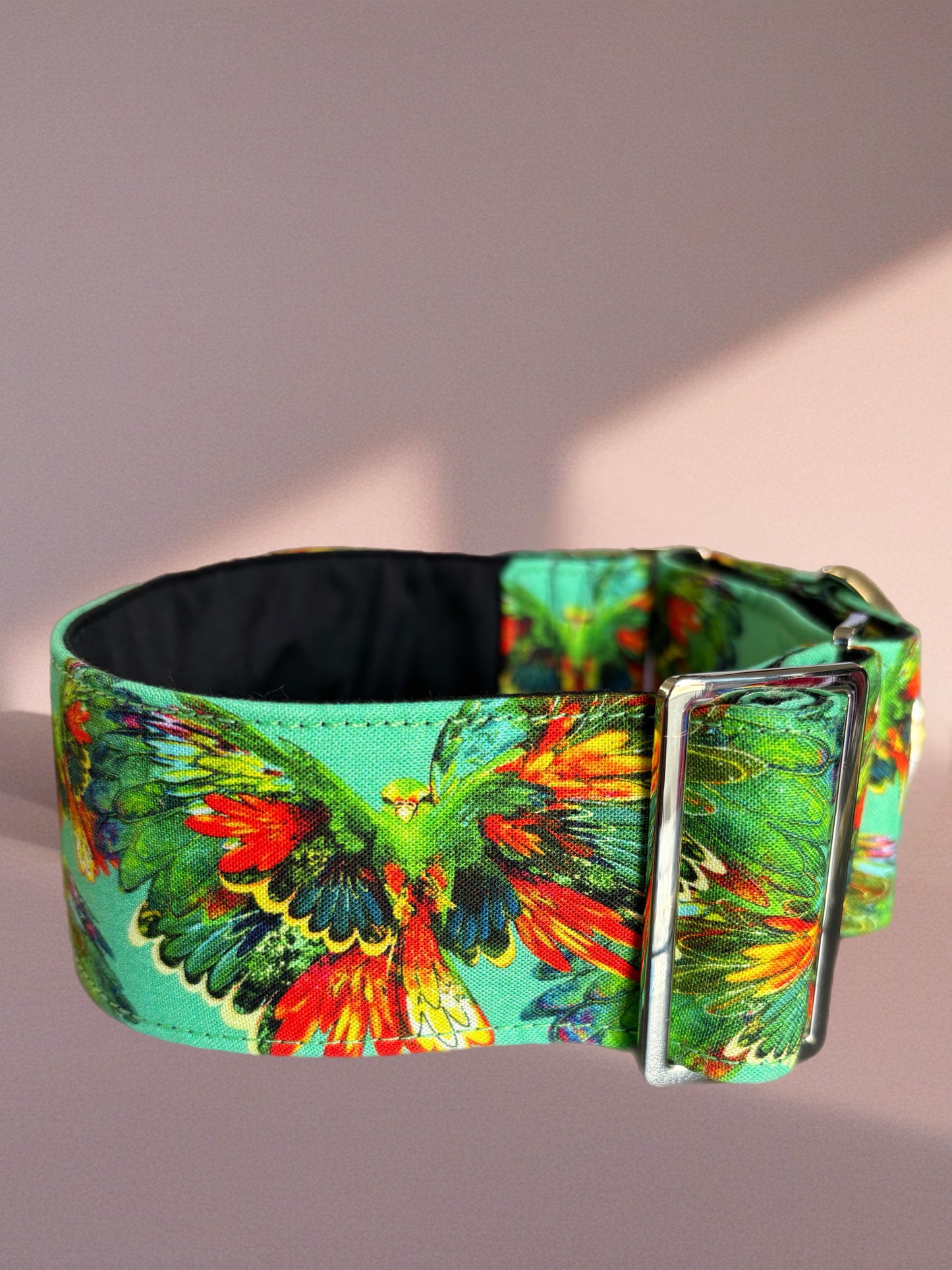 Stunning green macaw cotton covered greyhound Martingale collar 38mm or 50 mm wide super soft. Limited stock until after Christmas