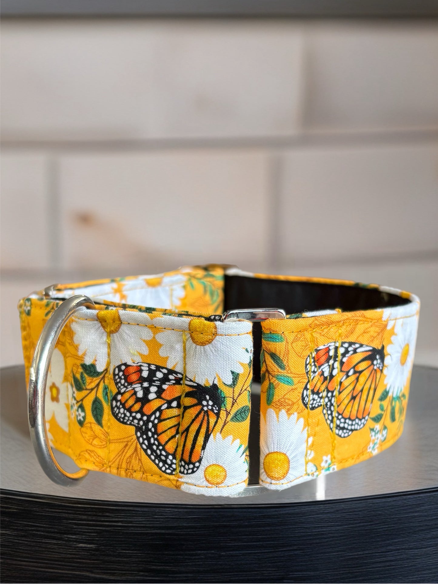 Summer gold butterflies cotton covered greyhound Martingale collar
