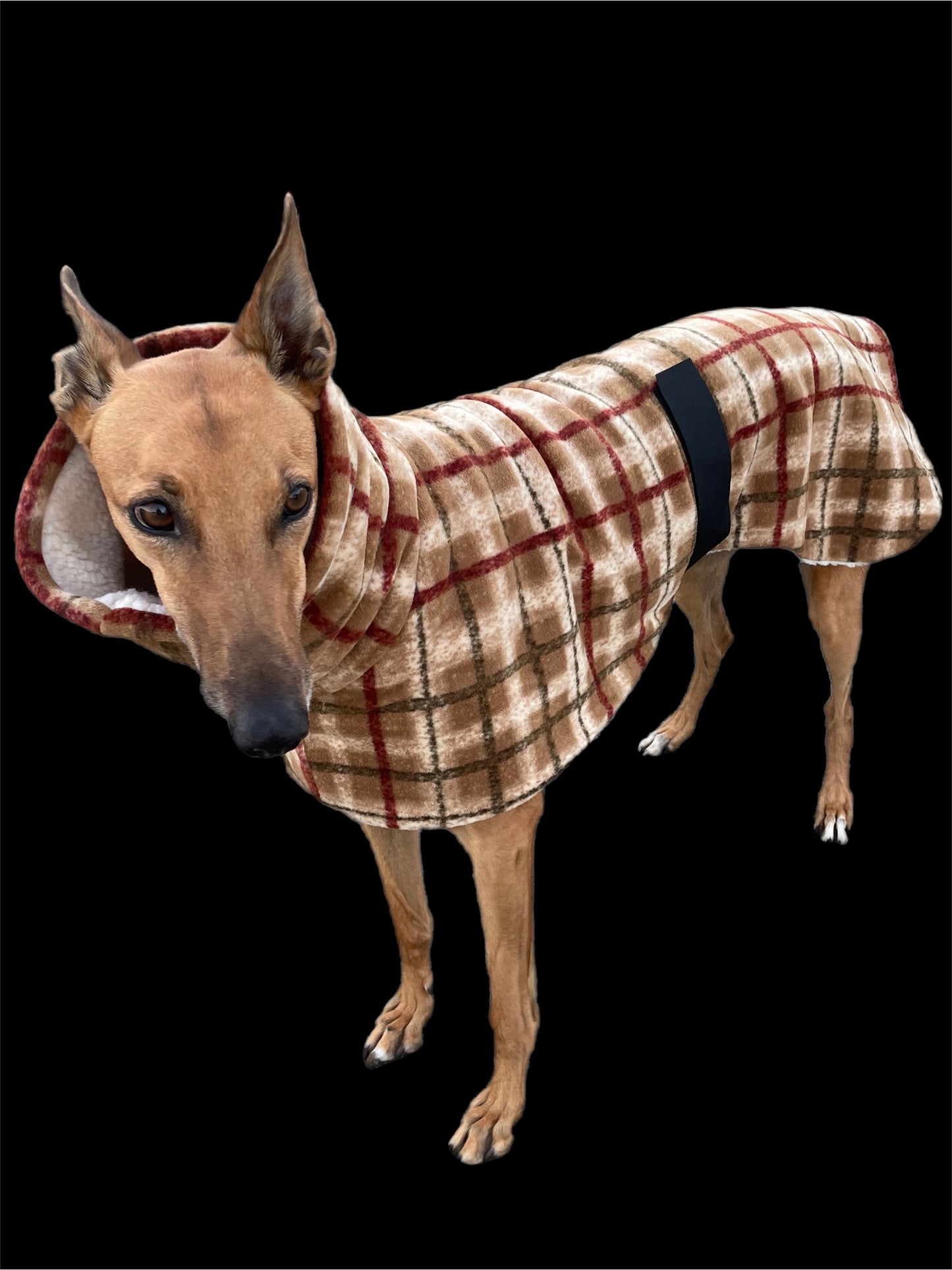 Tan Lumberjack Greyhound coat in deluxe style rug flanno check polar fleece washable extra wide neck