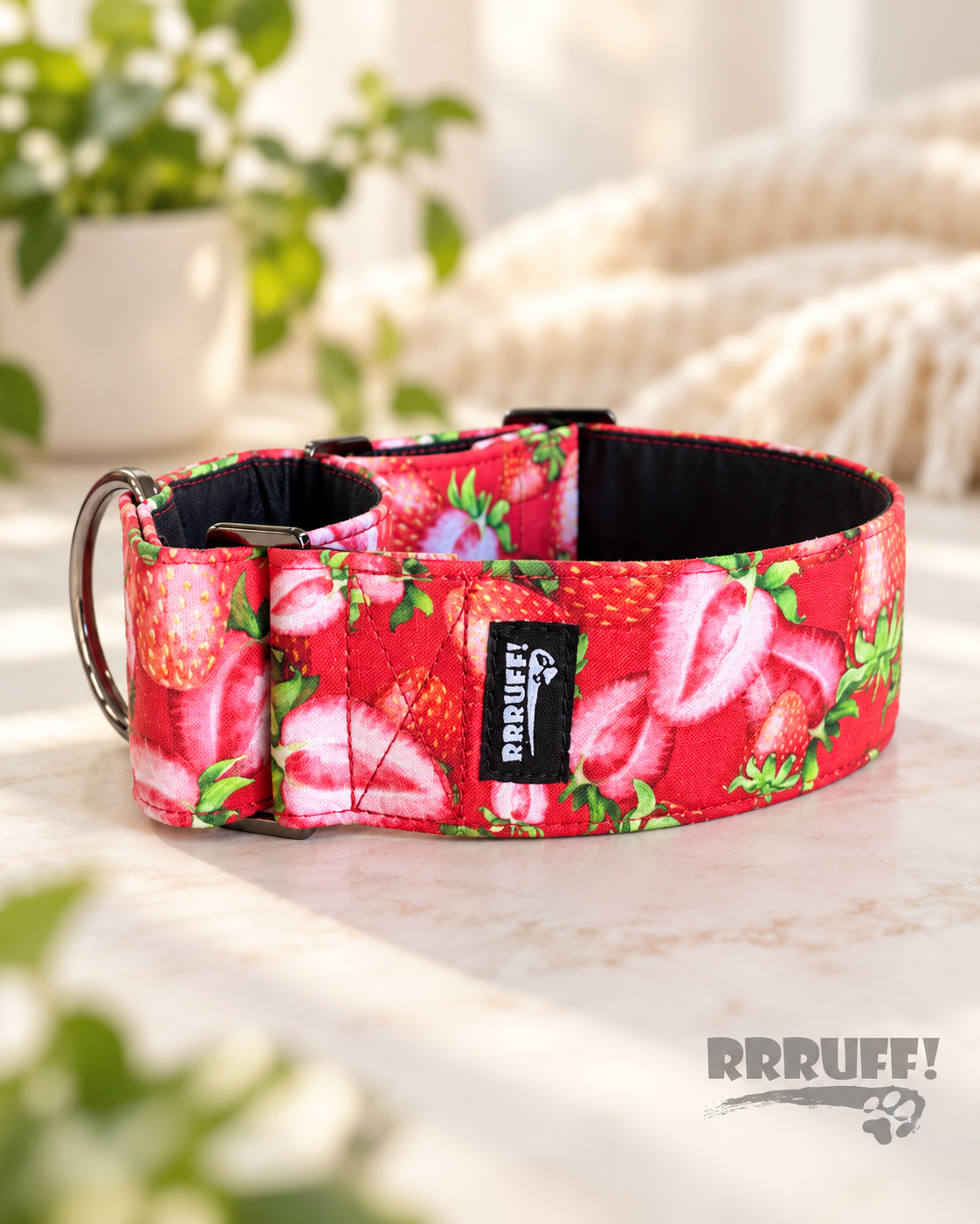 Berry best fresh strawberries martingale greyhound collar