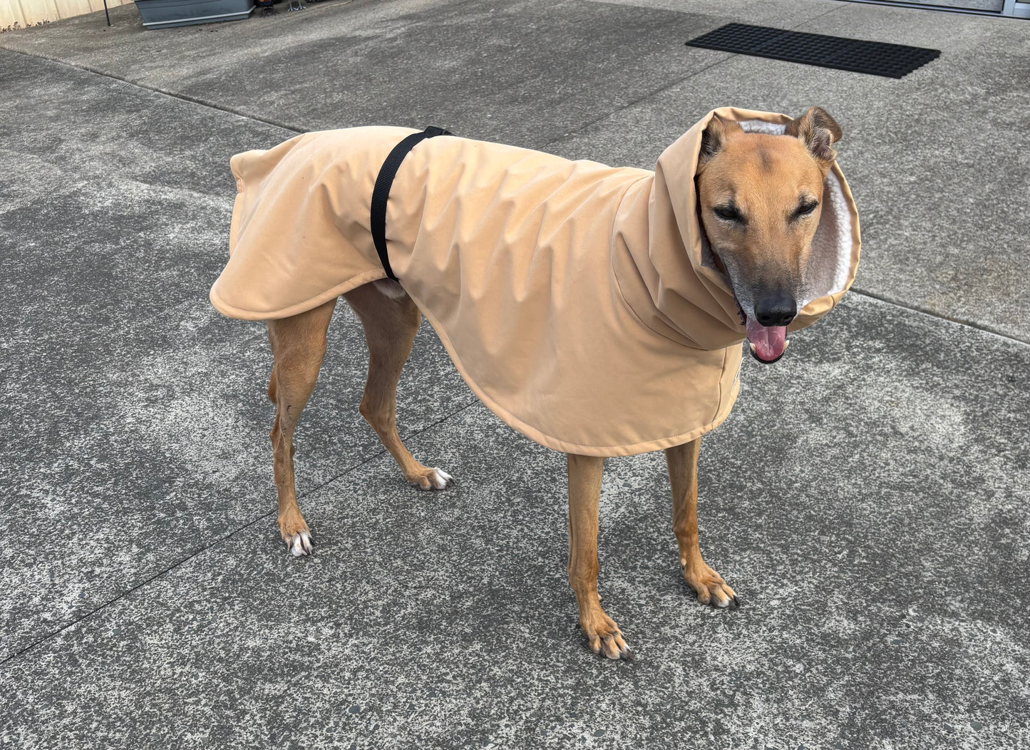 Driden Lux Sherpa Greyhound & whippet deluxe raincoats