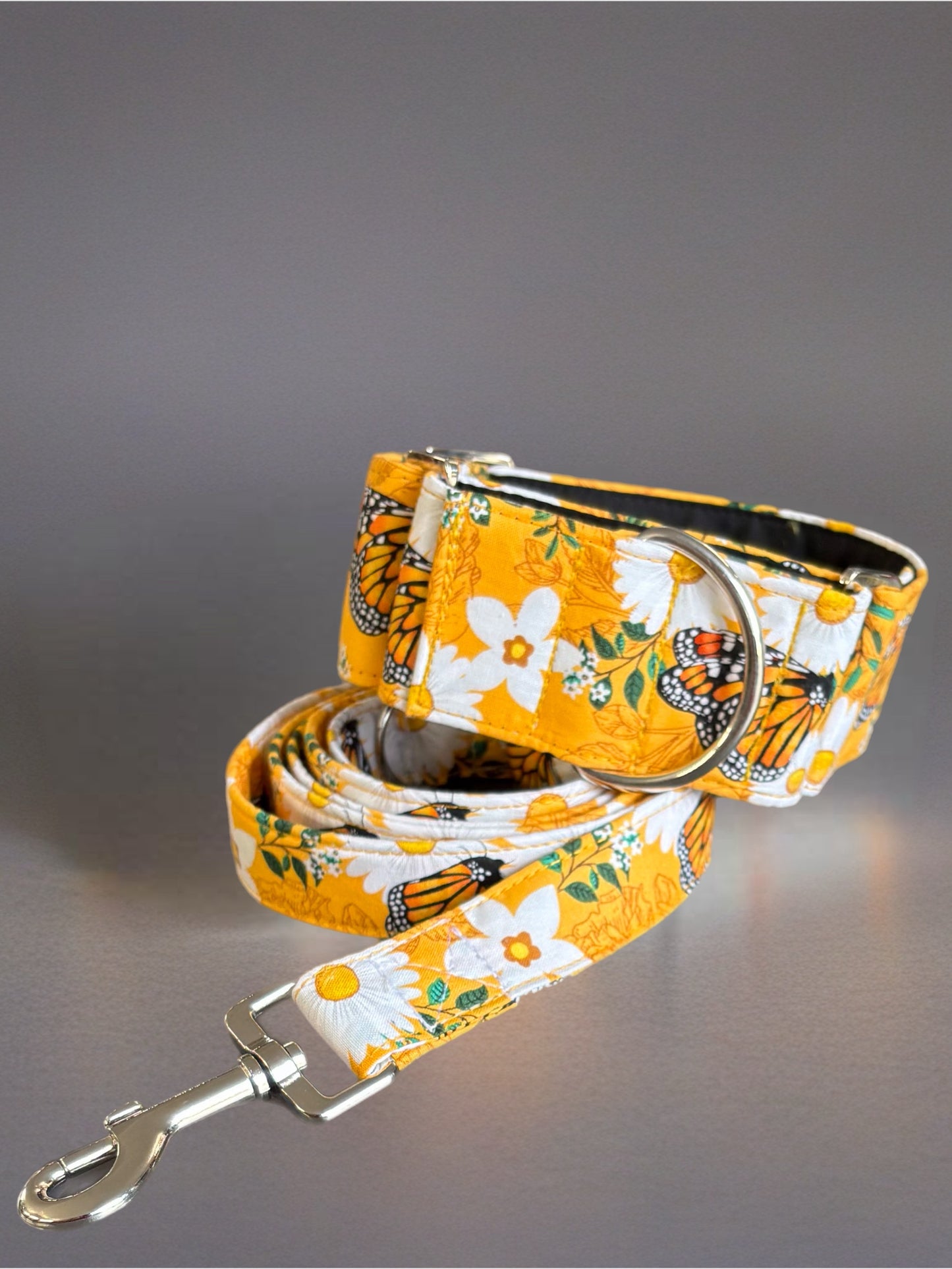 Summer gold butterflies cotton covered greyhound Martingale collar