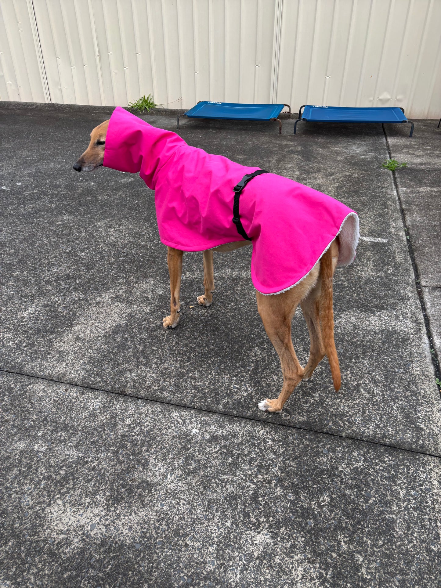 Driden Lux Sherpa Greyhound & whippet deluxe raincoats