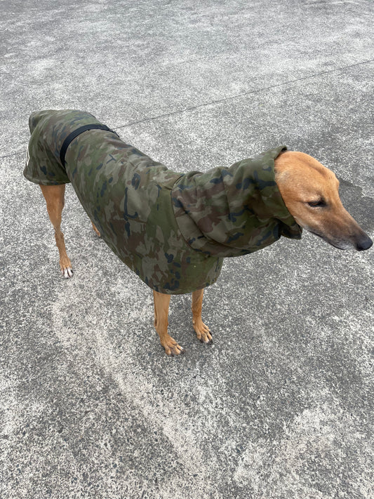 Waxed cotton ‘Commando’ Greyhound coat deluxe style, extremely soft, water repellent, rainwear