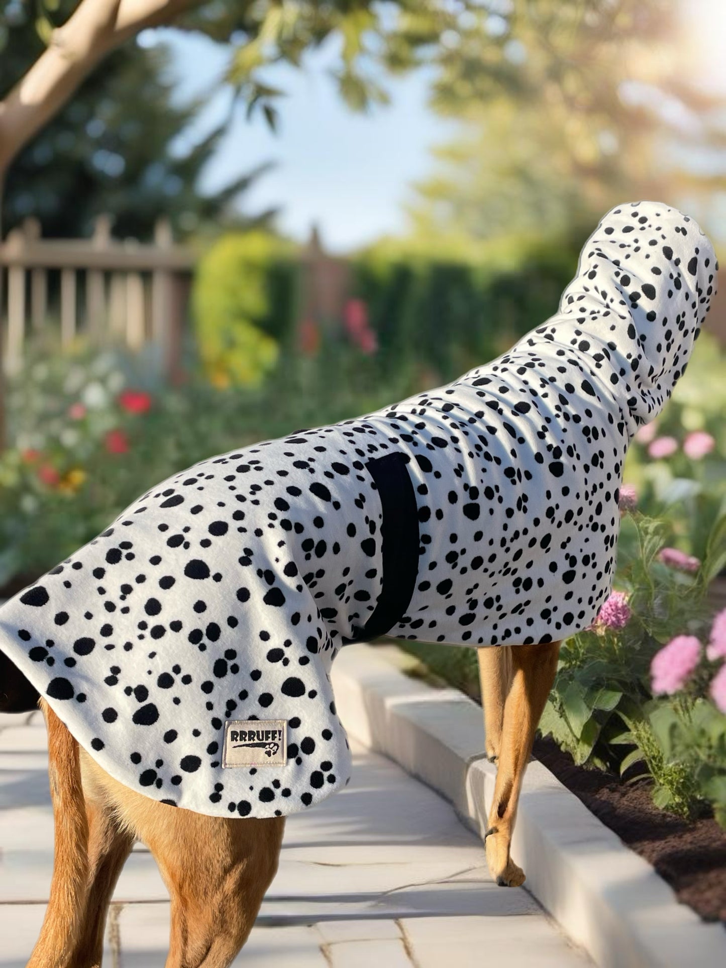 Going dotty luxury Greyhound Deluxe coat rug extra thick snuggly polar fleece washable