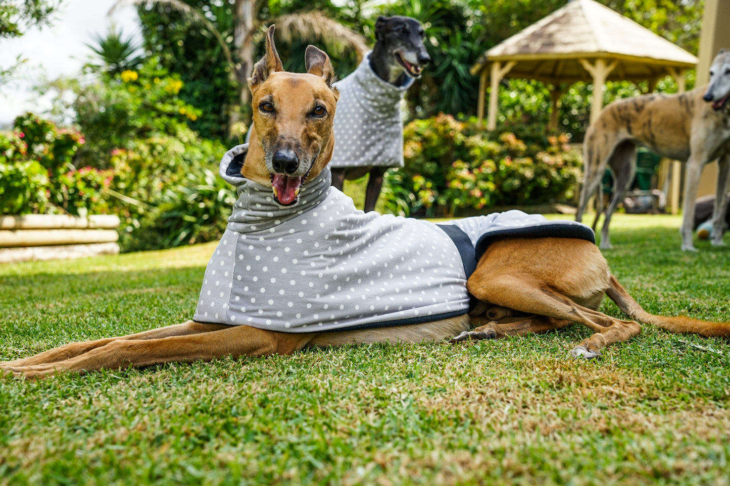 Velvety soft fleece in grey with white dots sports