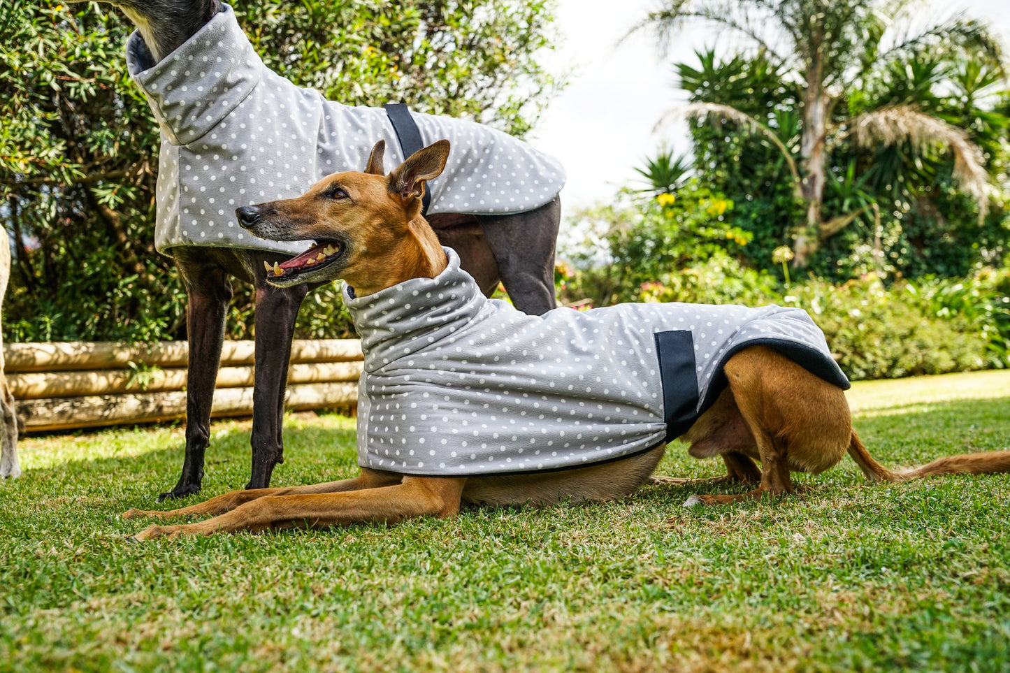 Velvety soft fleece in grey with white dots sports