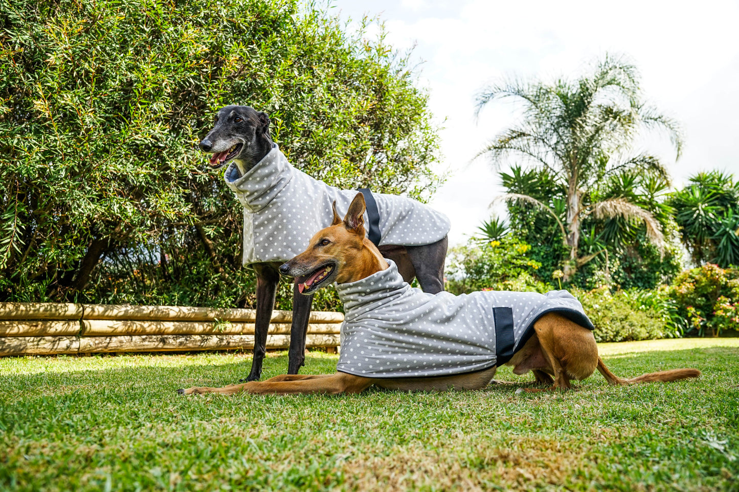 Velvety soft fleece in grey with white dots sports