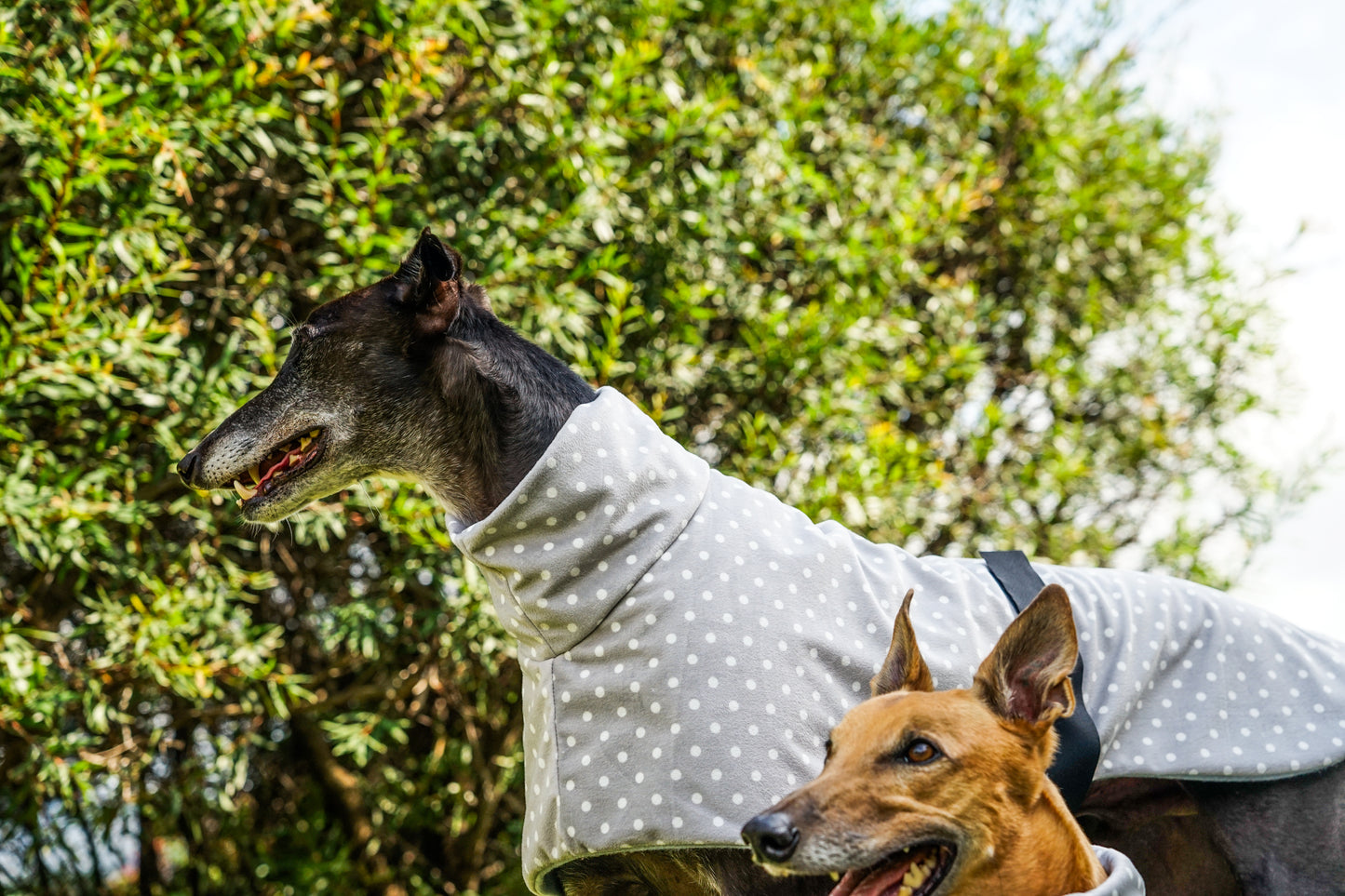 Velvety soft fleece in grey with white dots sports