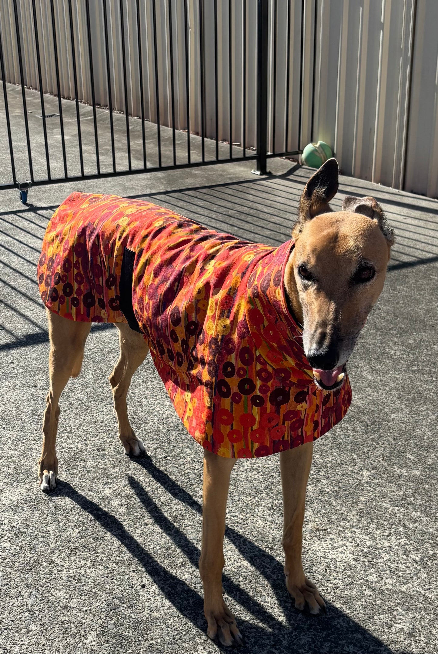 Sunset rhythm luxe indigenous design greyhound sports coat mid weight cotton & fleece Autumn wear