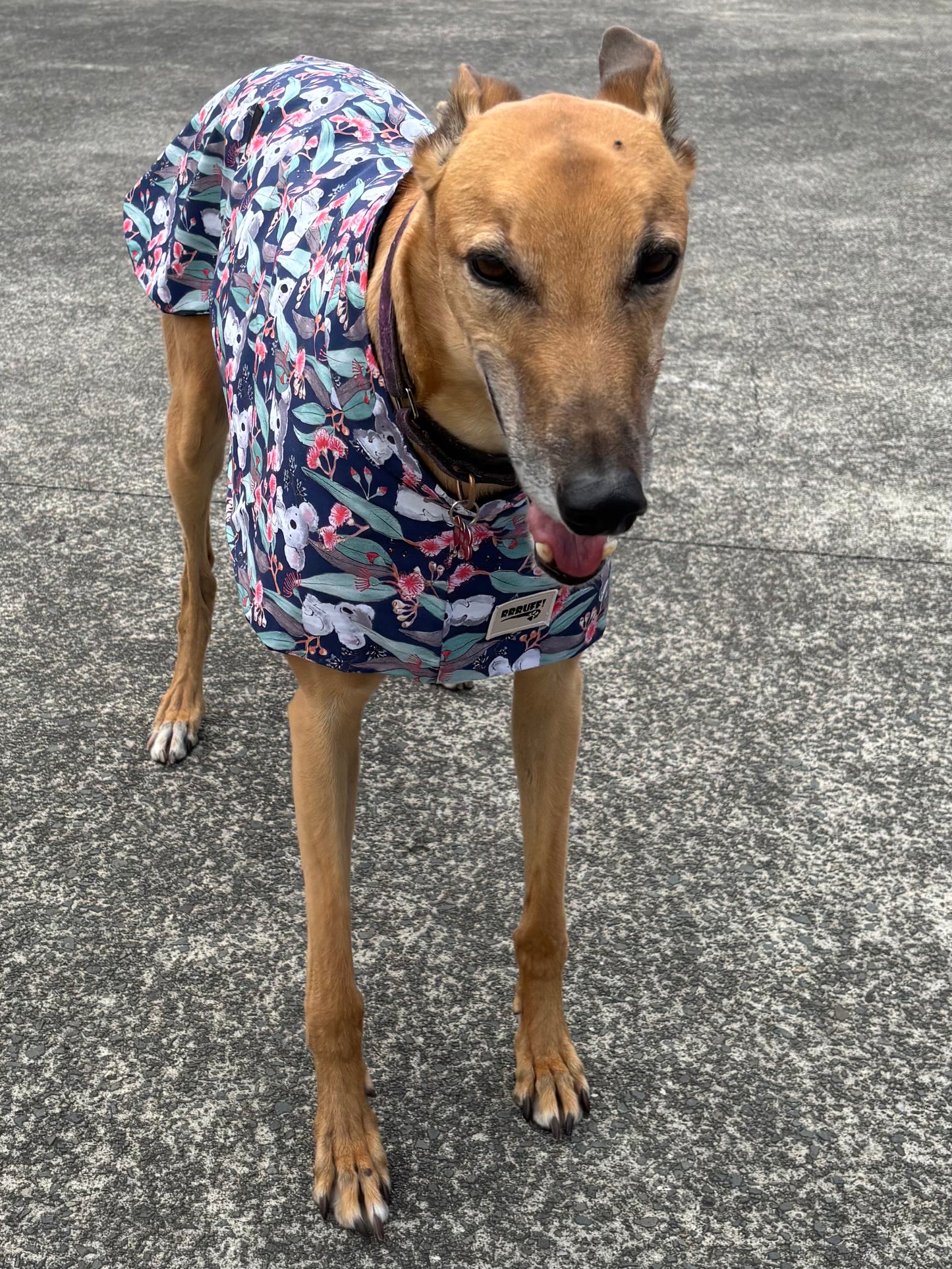 Summer featherweight greyhound slip-on coat Koala Bloom