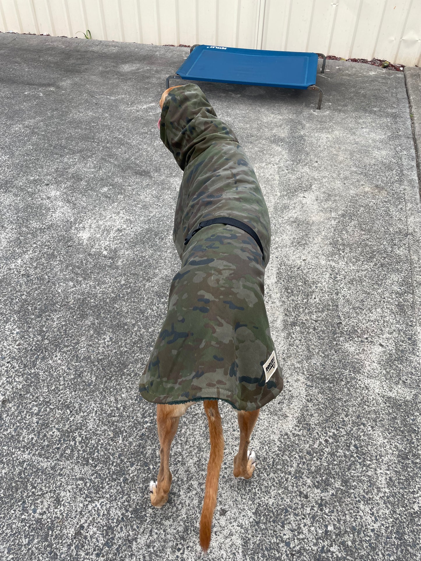 Waxed cotton ‘Commando’ Greyhound coat deluxe style, extremely soft, water repellent, rainwear