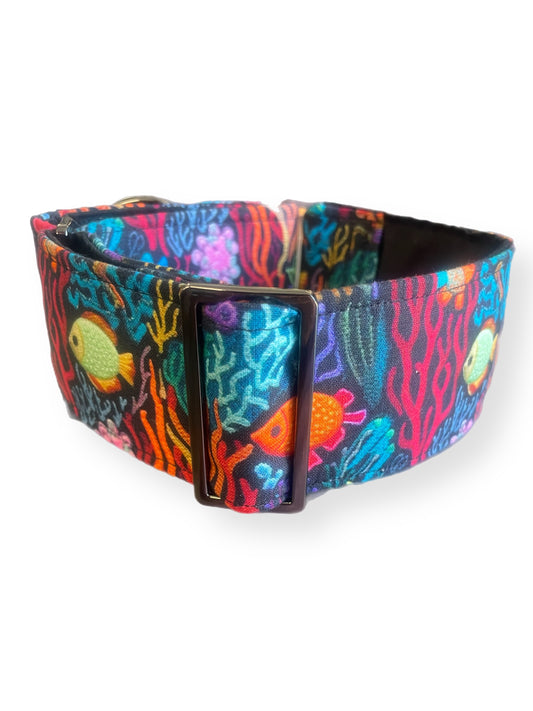 Tropical fish life Greyhound Martingale collar colorful coral cotton covered width super soft